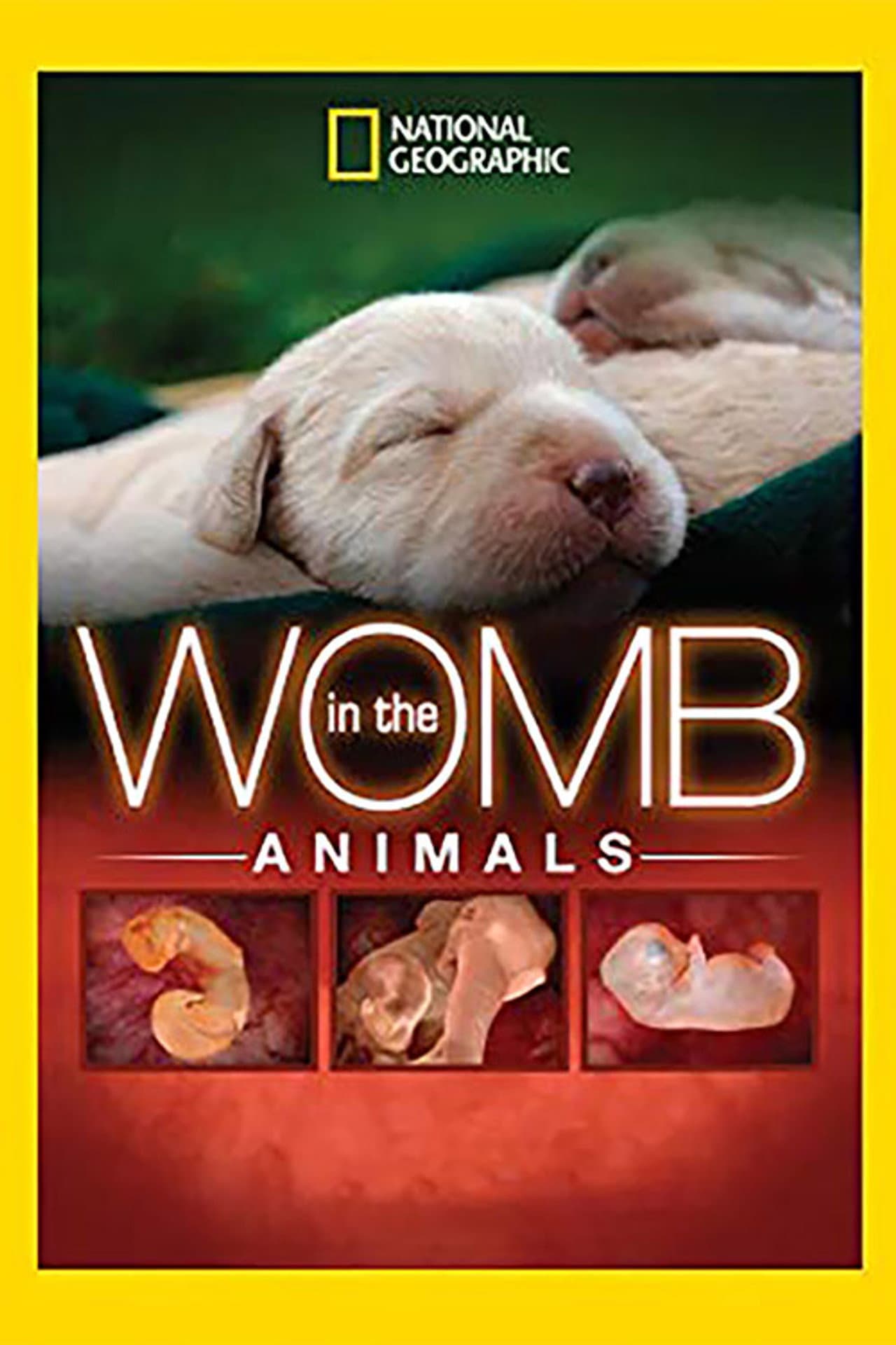 In The Womb: Animals preview 2