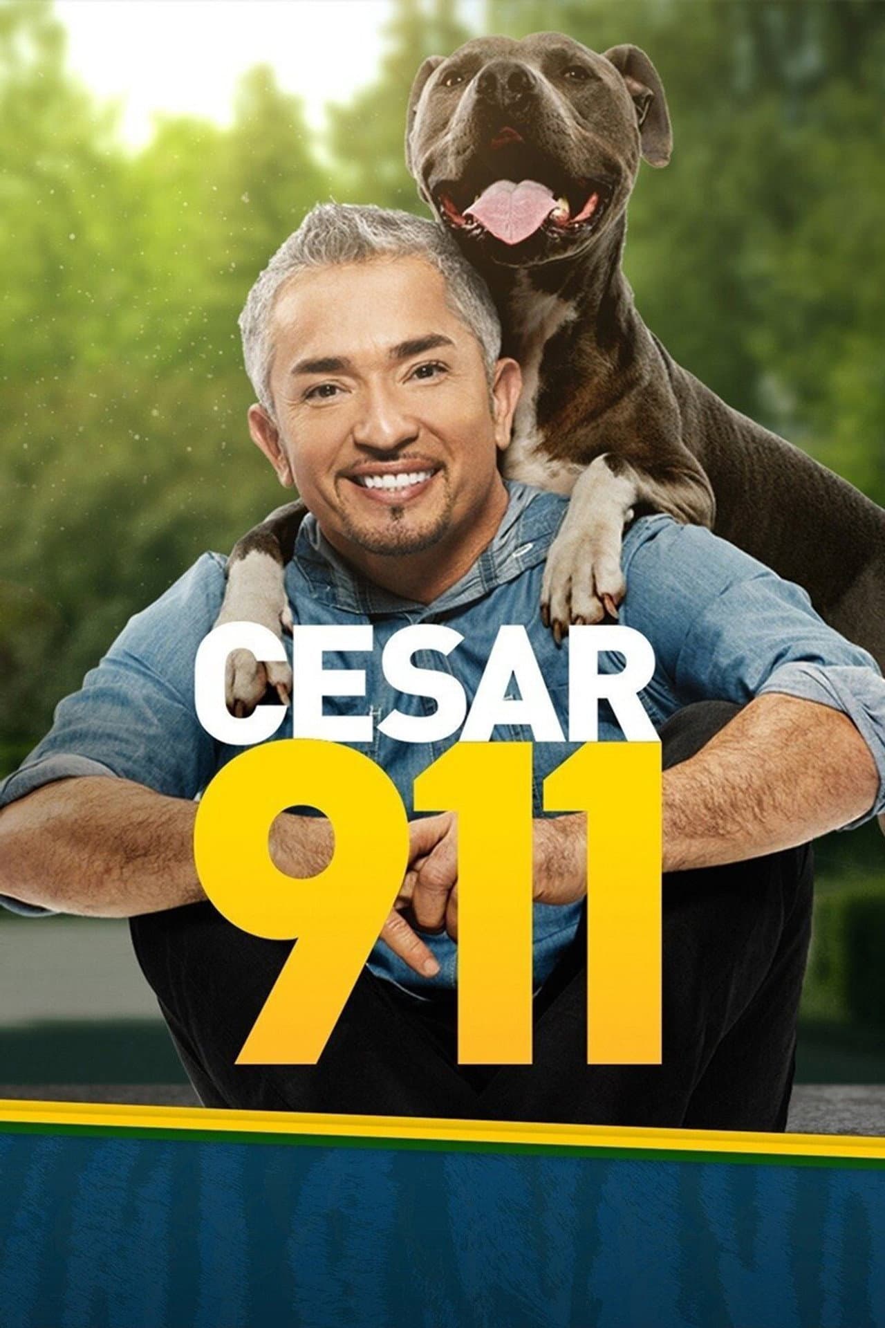 Cesar 911 preview 2