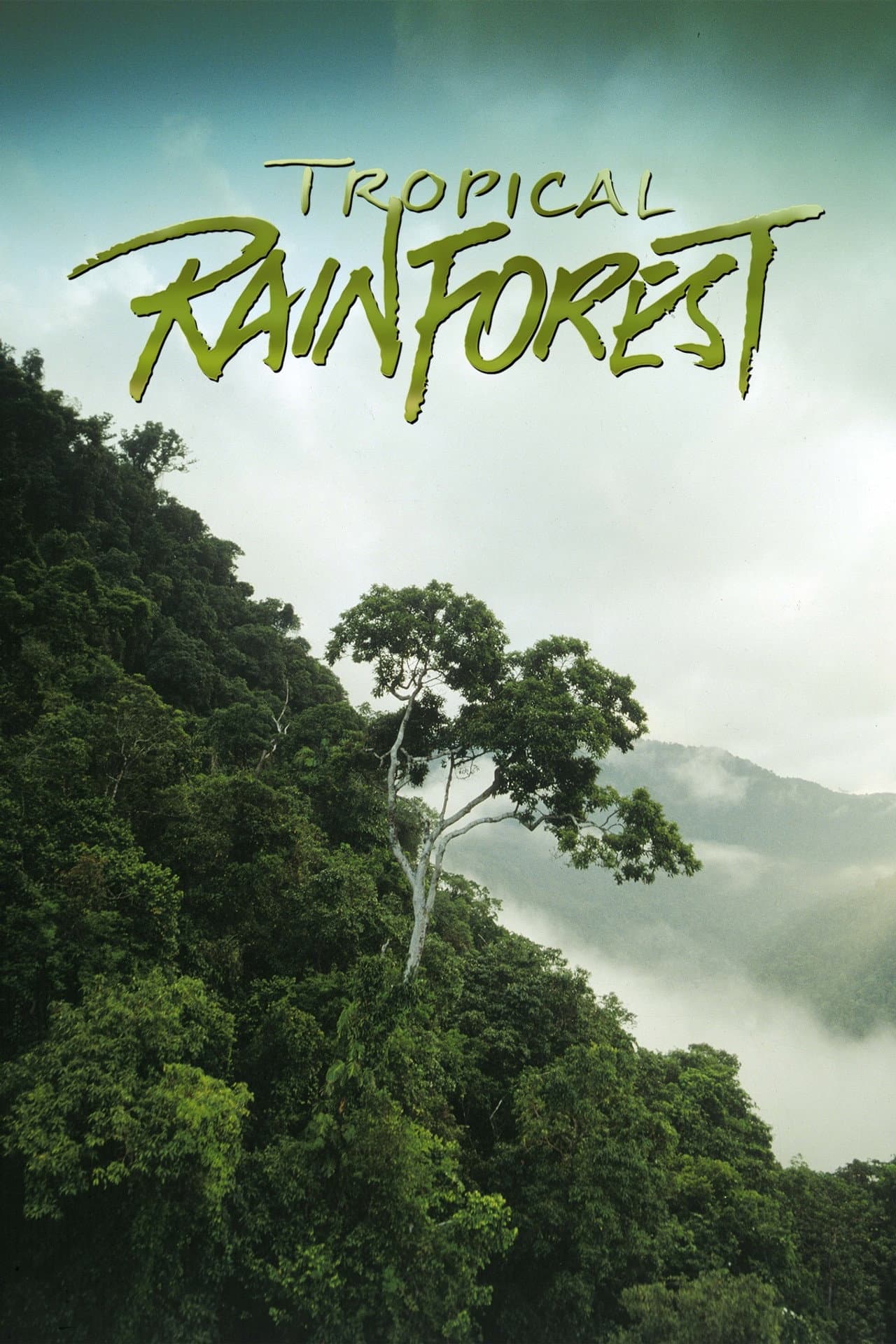 Tropical Rainforest preview 2