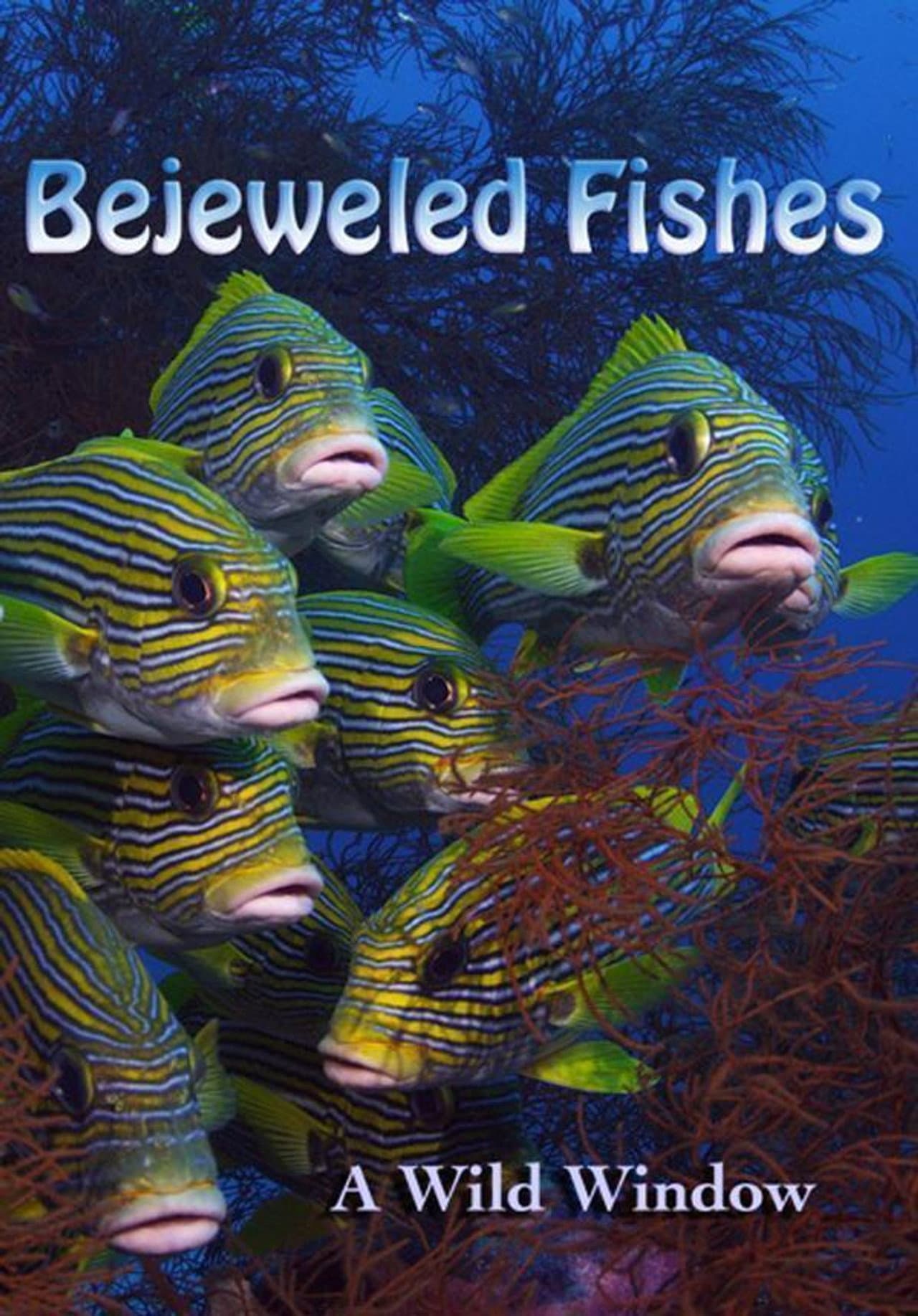 Wild Window: Bejeweled Fishes preview 1