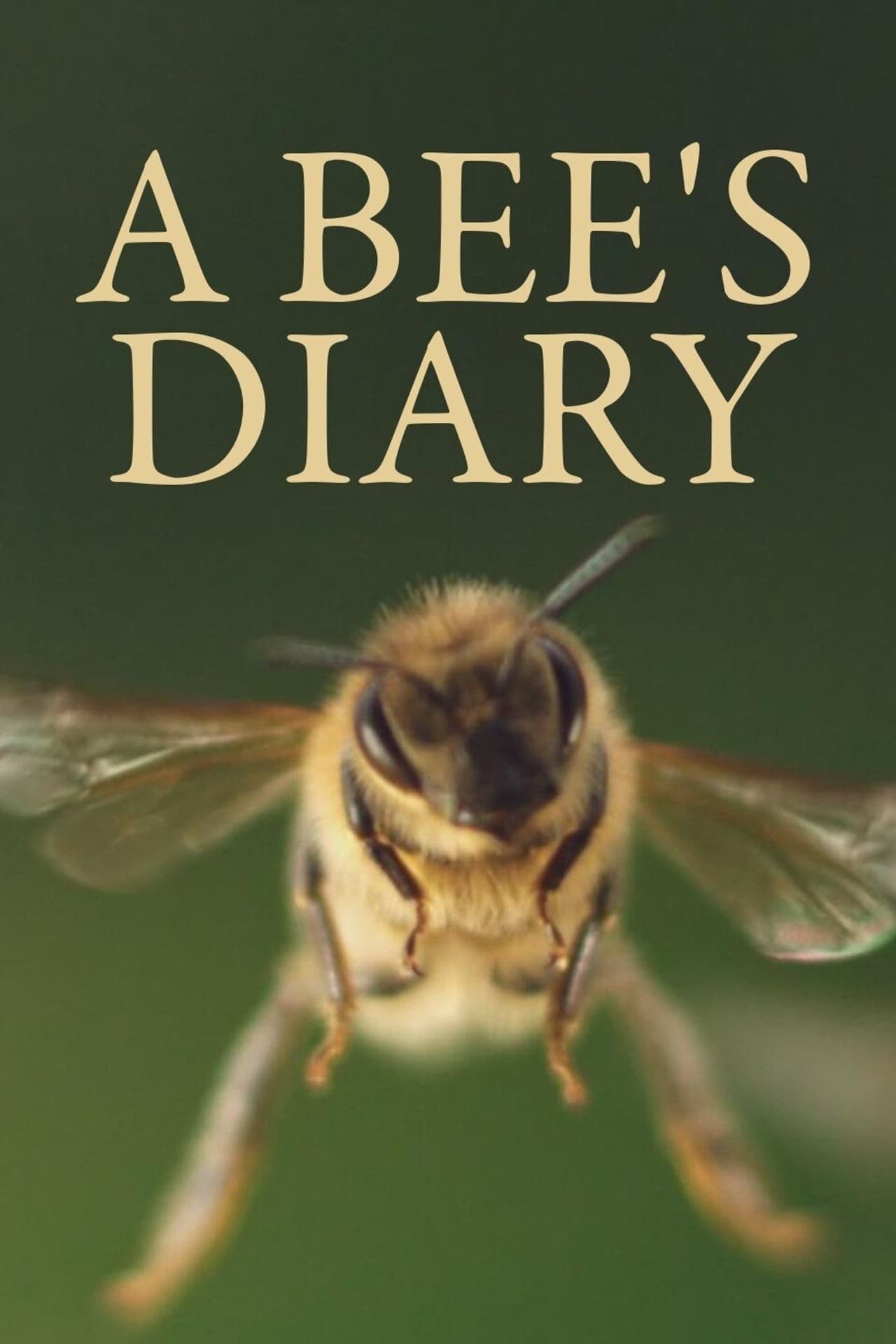A Bee's Diary preview 2