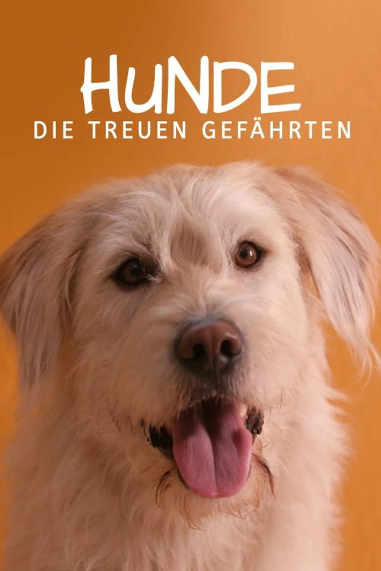 For Dog’s Sake preview 1