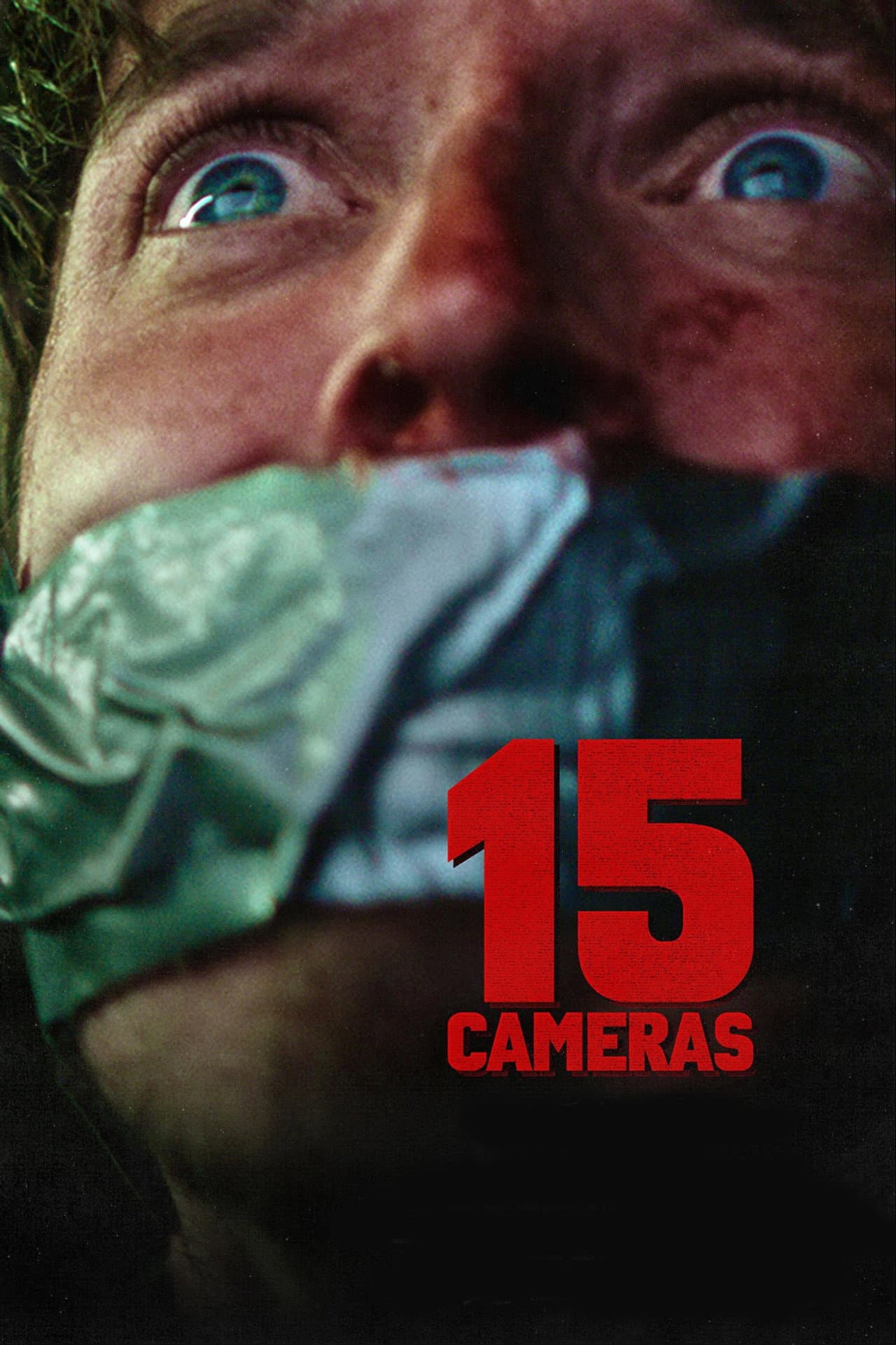 15 Cameras preview 2