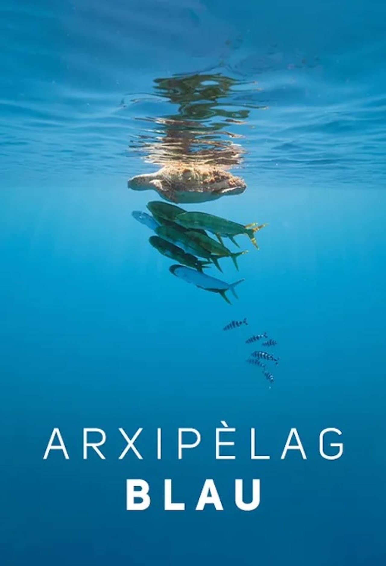 Arxipèlag blau preview 2