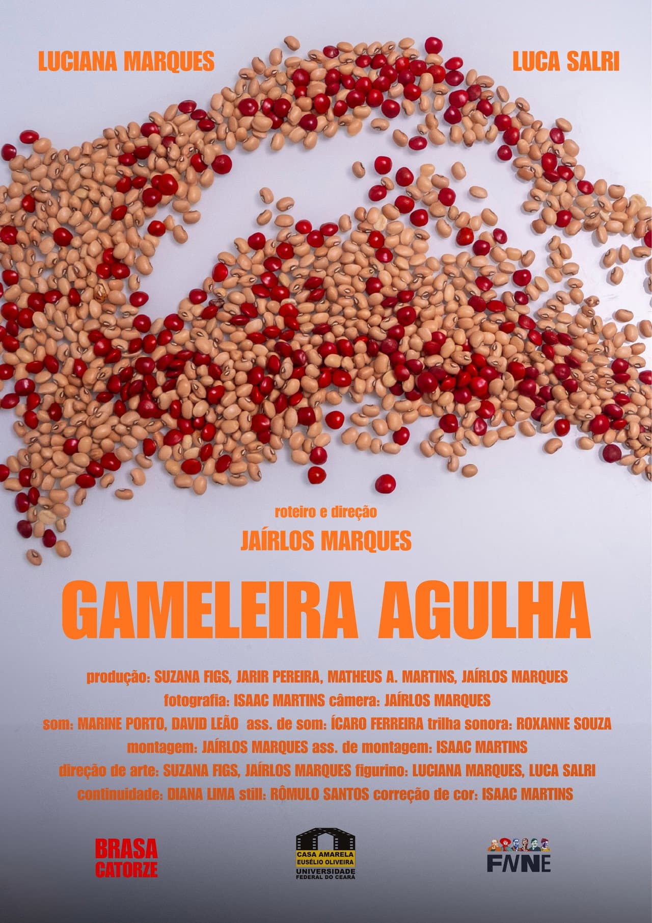 Gameleira Agulha preview 2