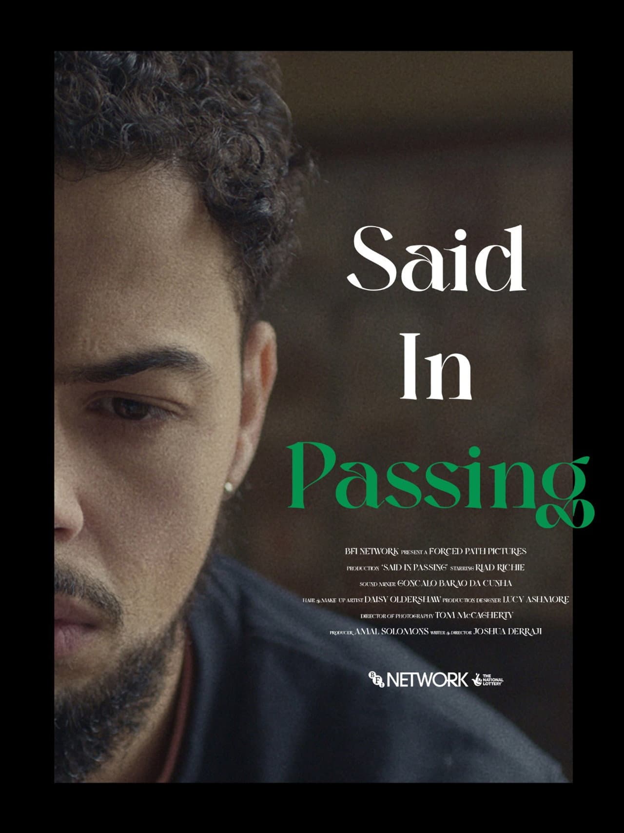 Said In Passing preview 1