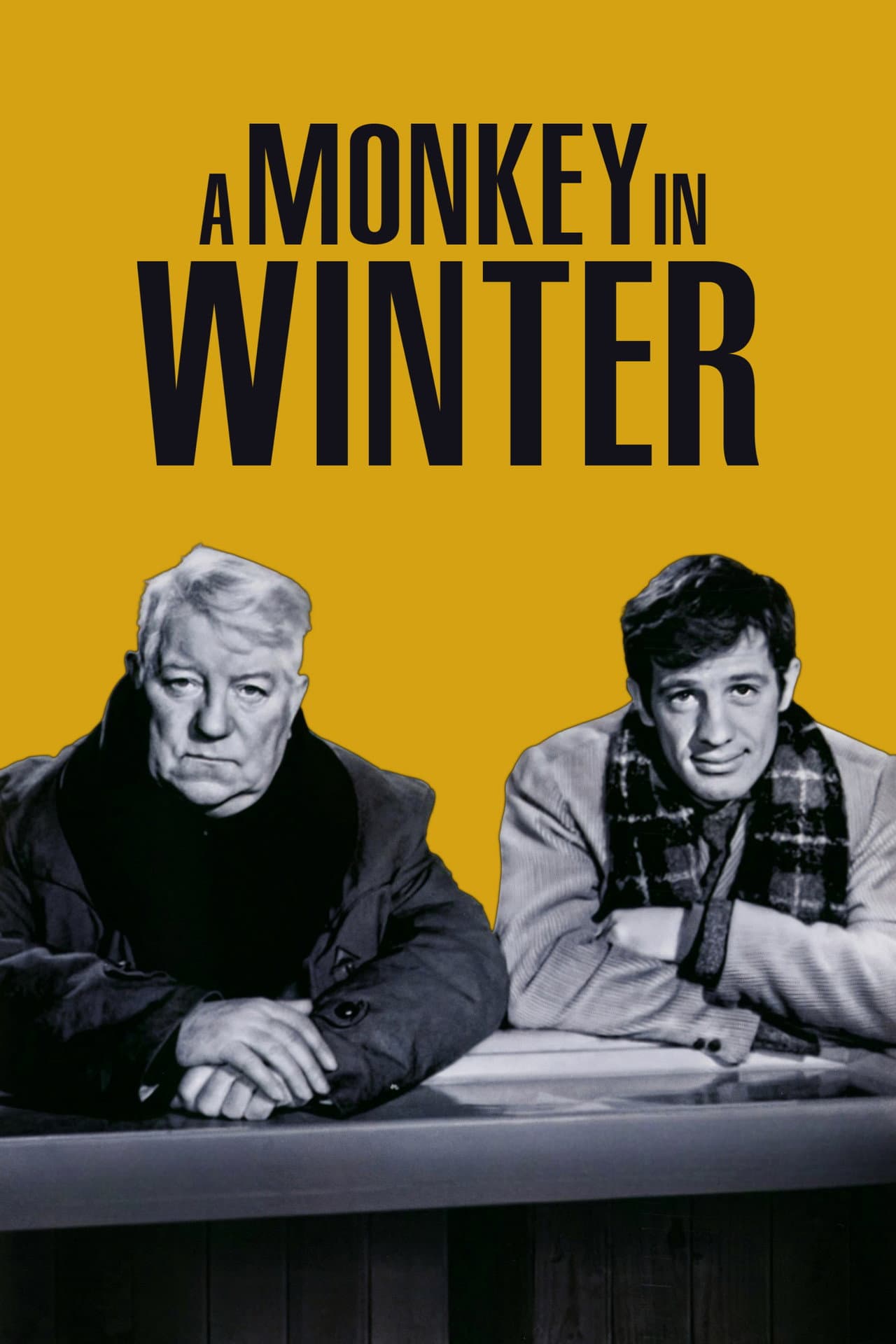 A Monkey in Winter preview 2