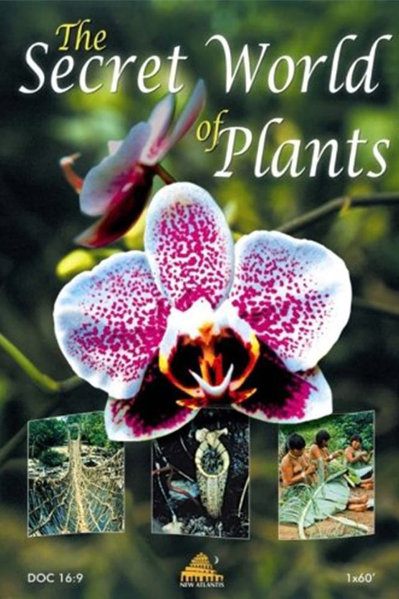 The Secret World of Plants preview 1