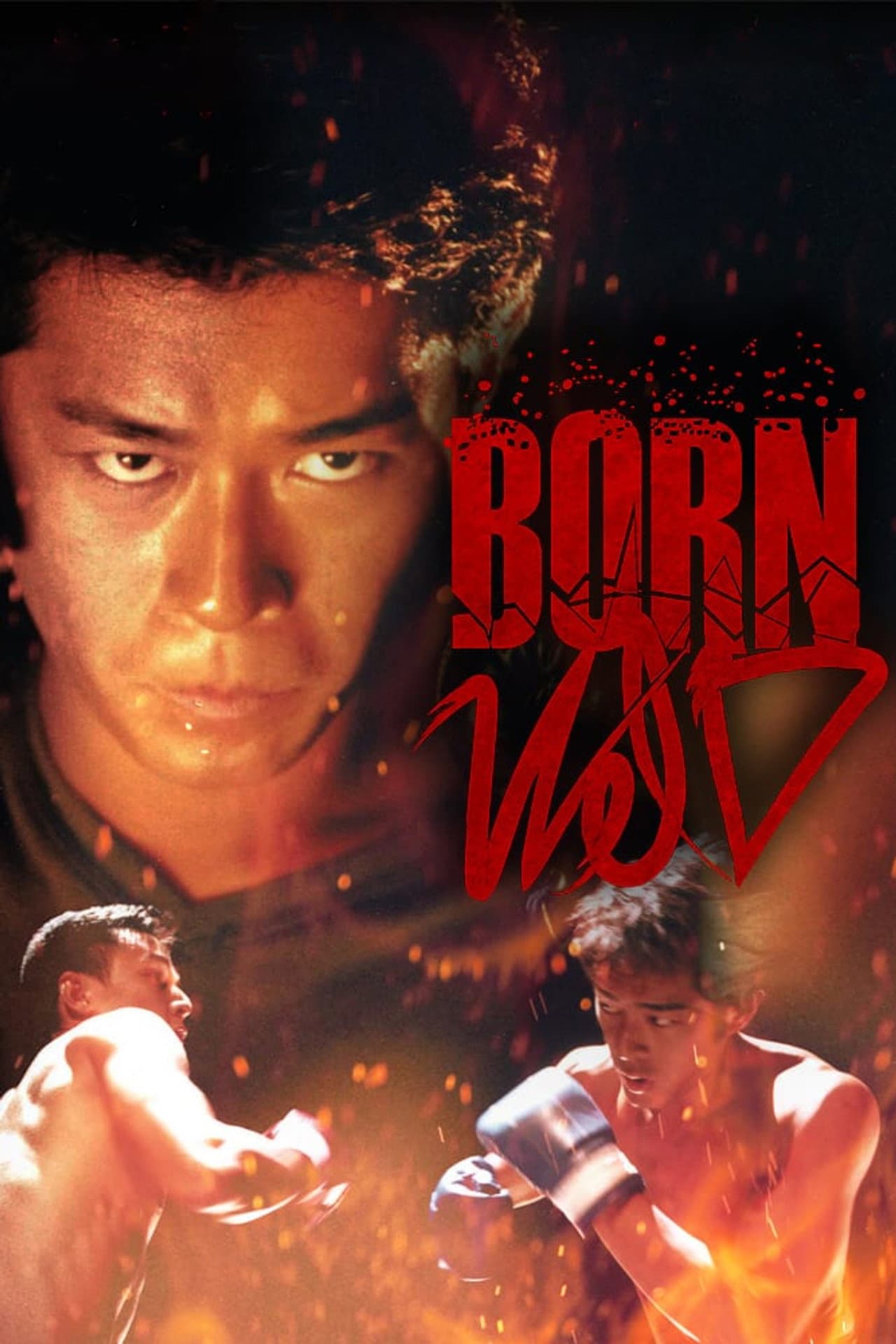 Born Wild preview 2