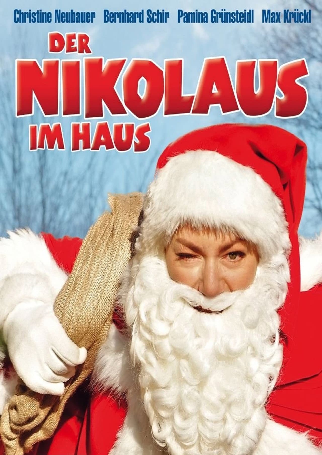 Der Nikolaus im Haus preview 2