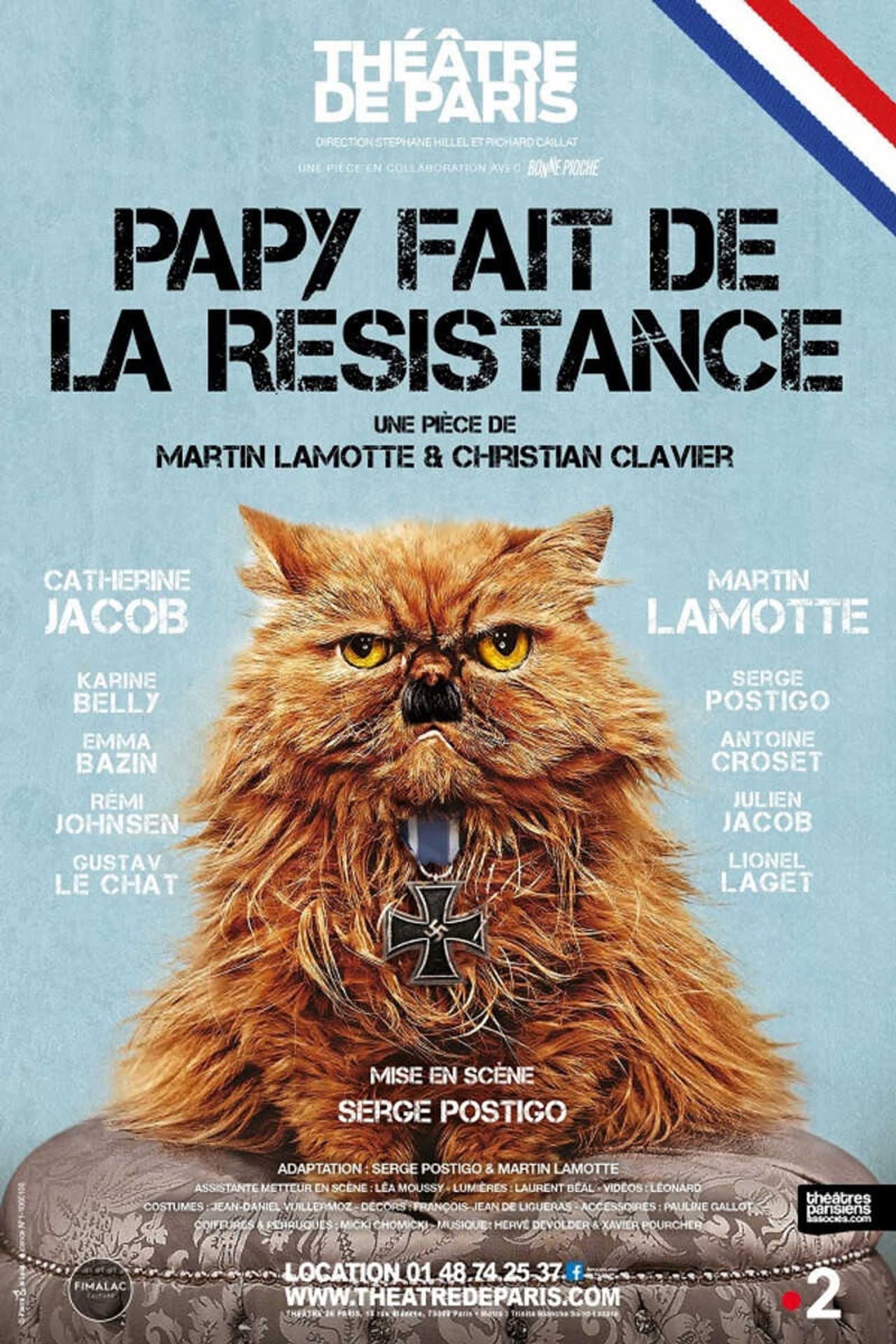 Papy fait de la résistance preview 2