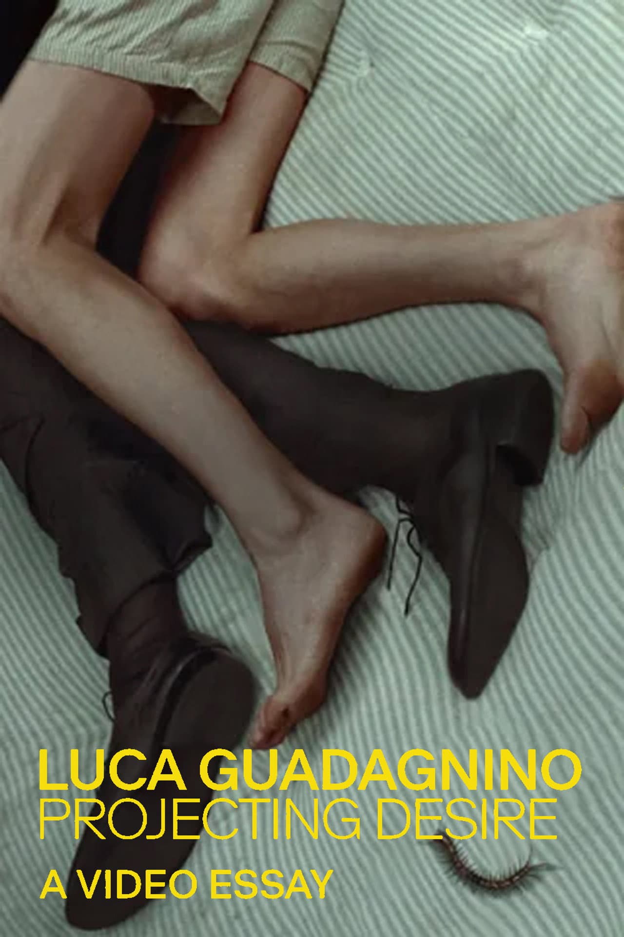 Luca Guadagnino: Projecting Desire preview 1
