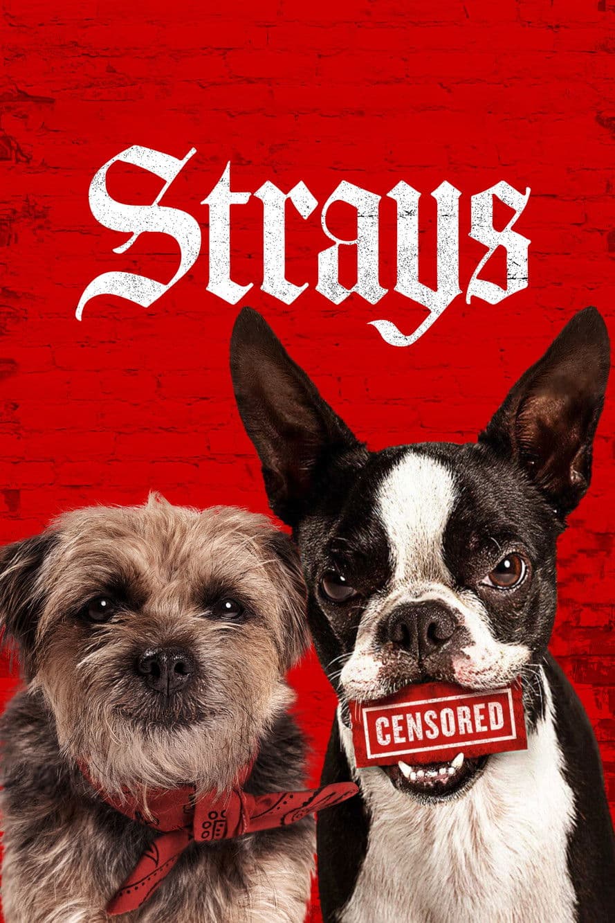 Strays preview 2