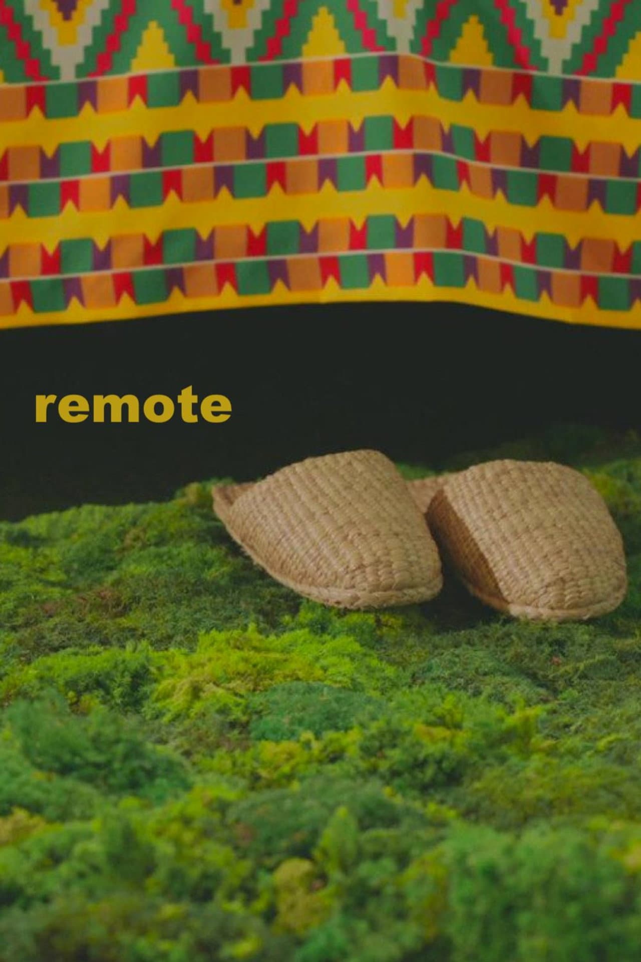 Remote preview 2