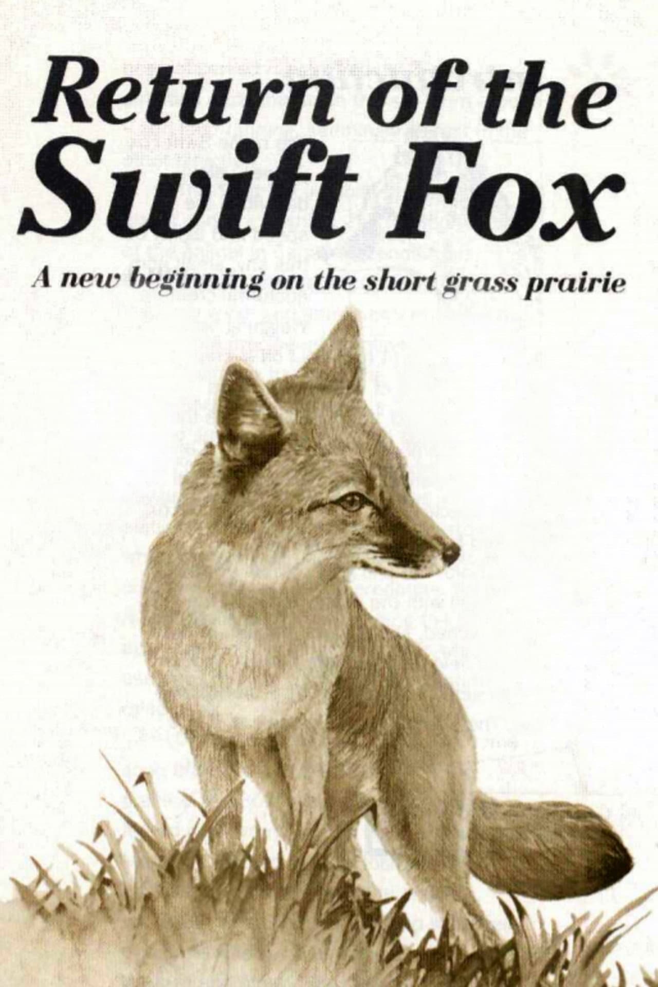 Return of the Swift Fox preview 1