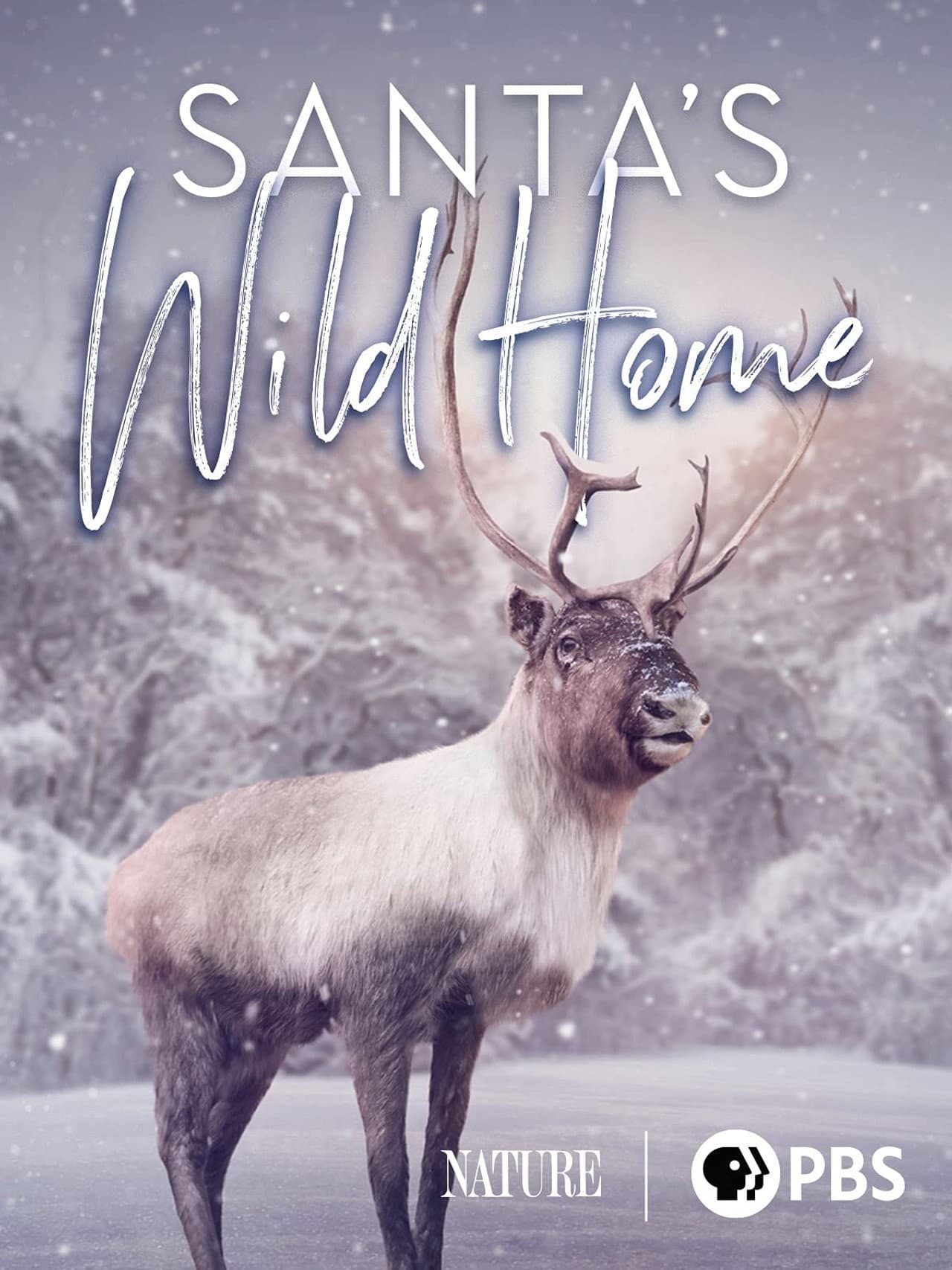 Santa's Wild Home preview 2