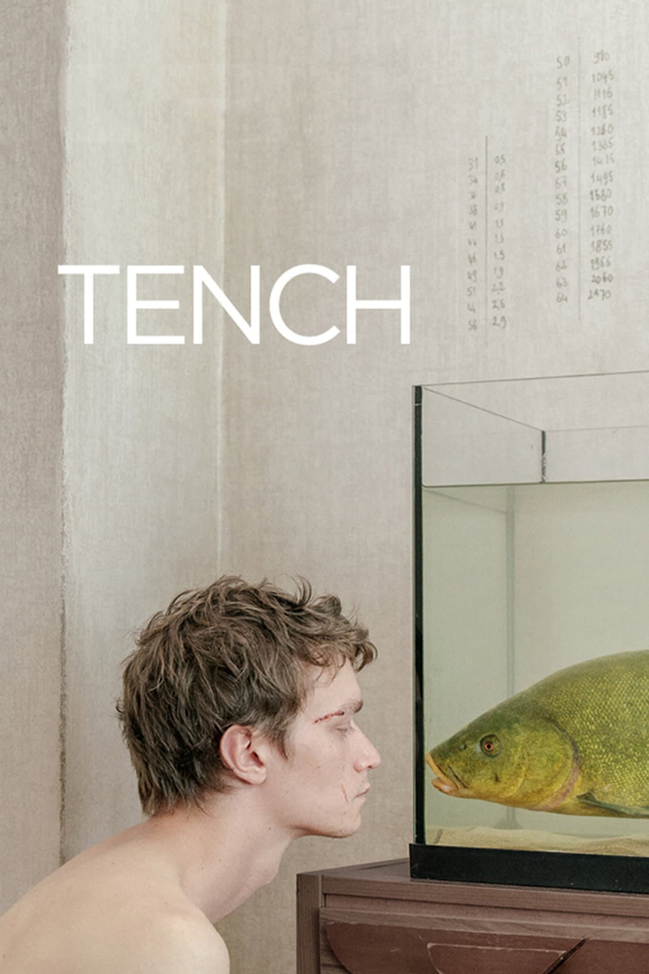 Tench preview 2