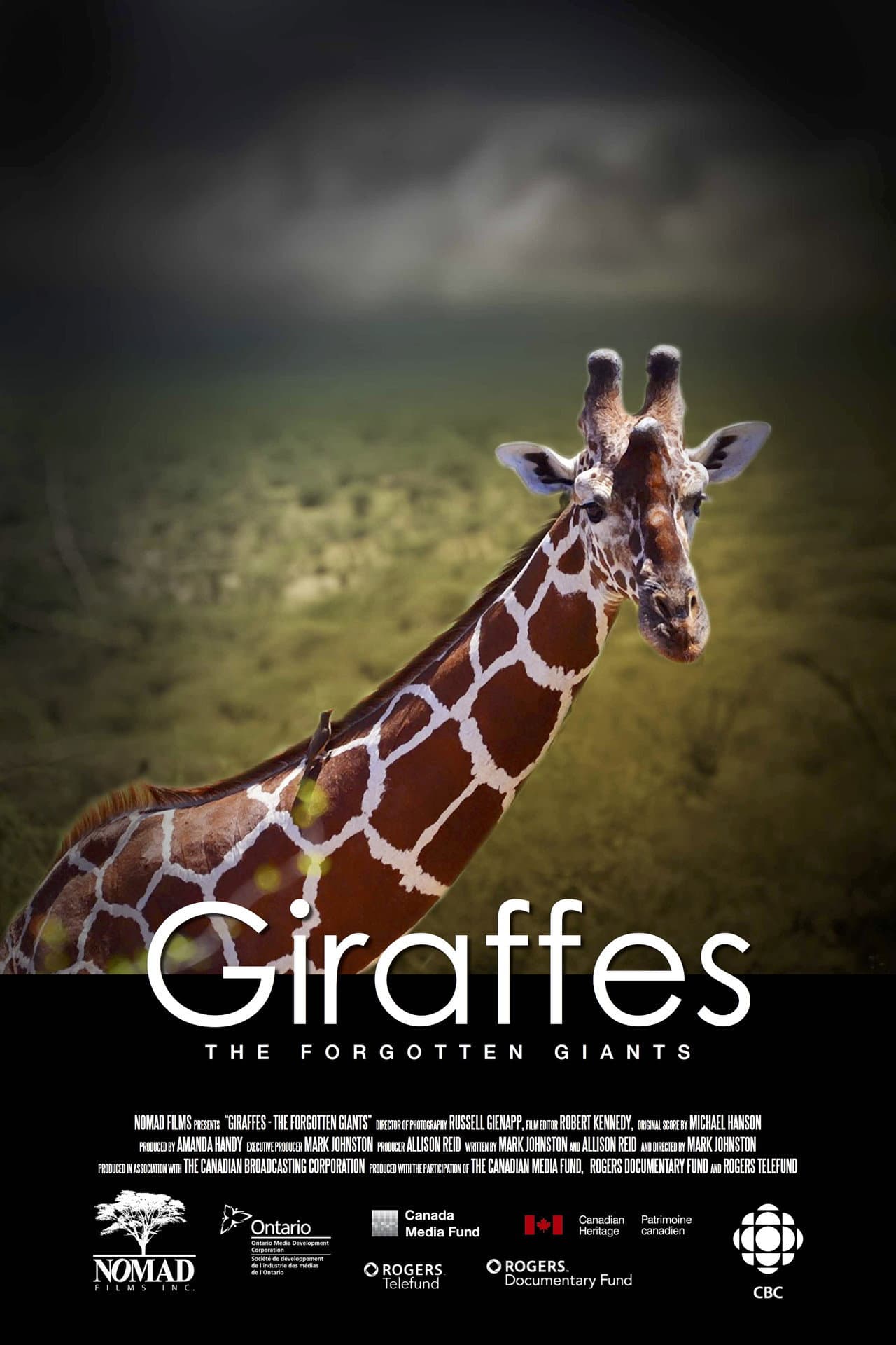 Giraffes: The Forgotten Giants preview 1