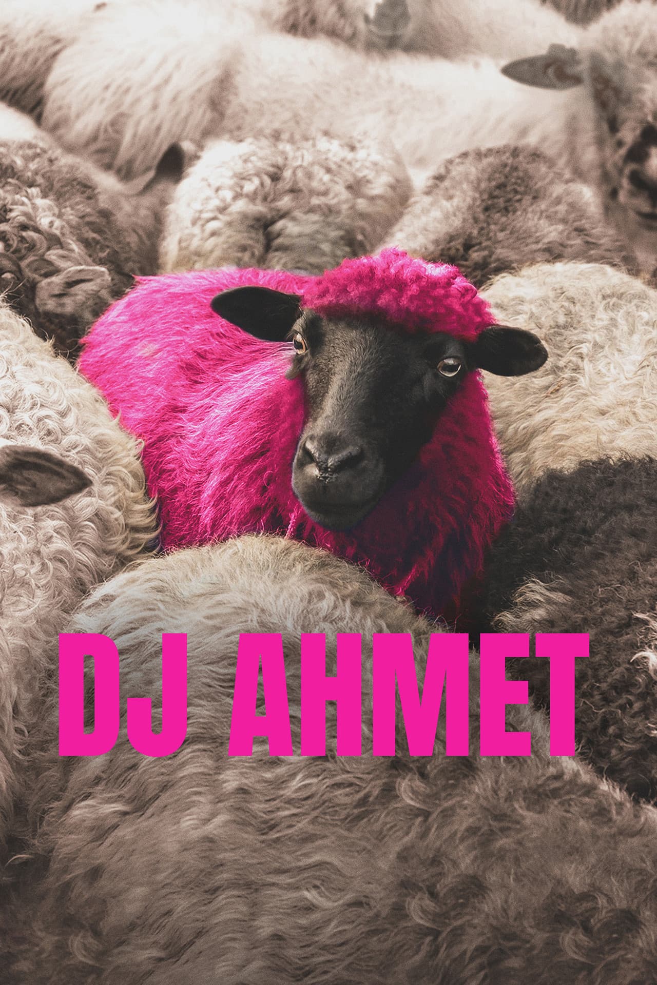 DJ Ahmet preview 2