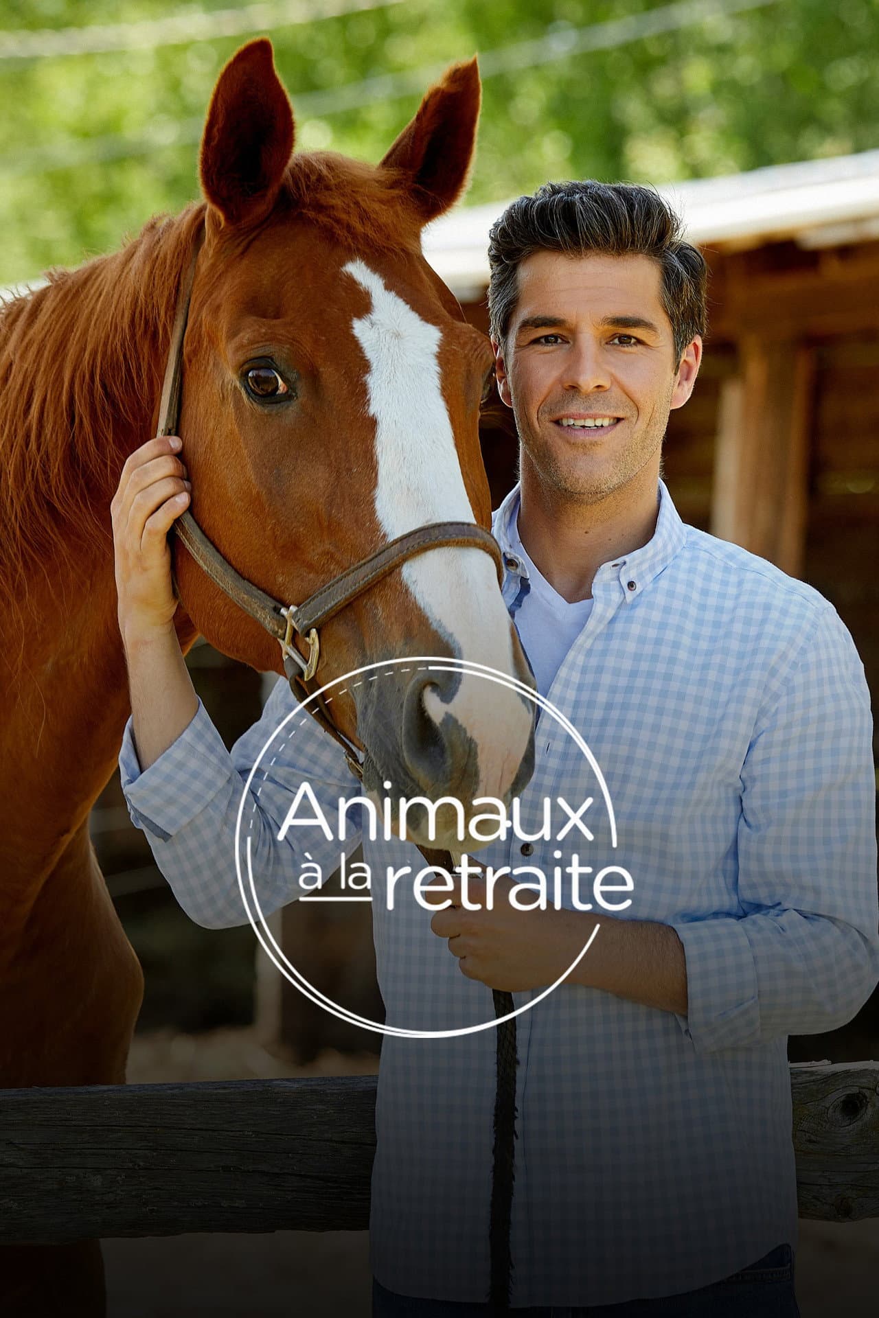Animaux à la retraite preview 2