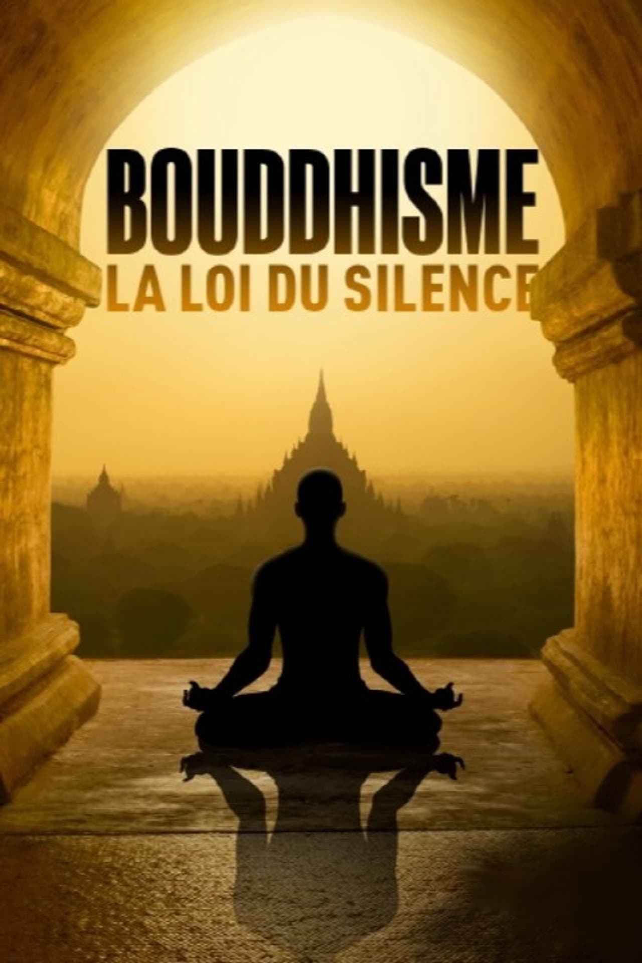 Buddhism, the Unspeakable Truth preview 2