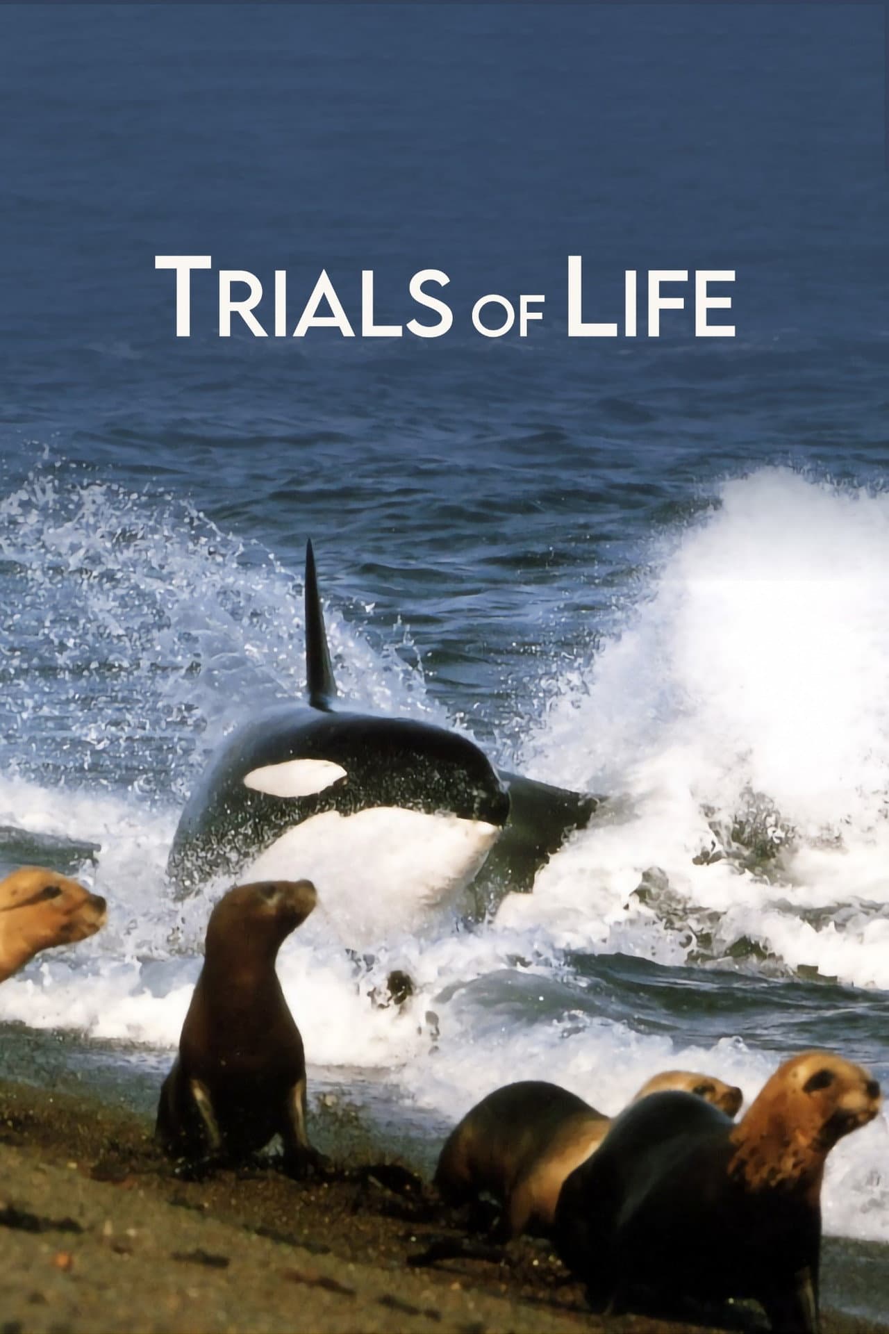 Trials of Life preview 2