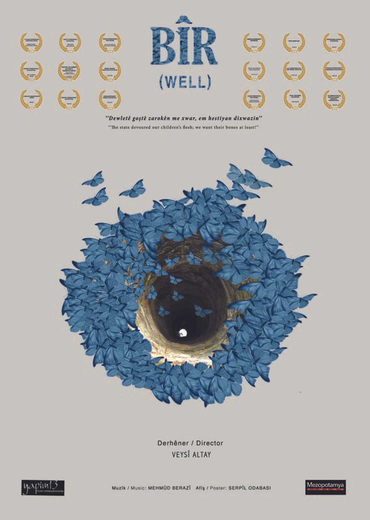 Well preview 2