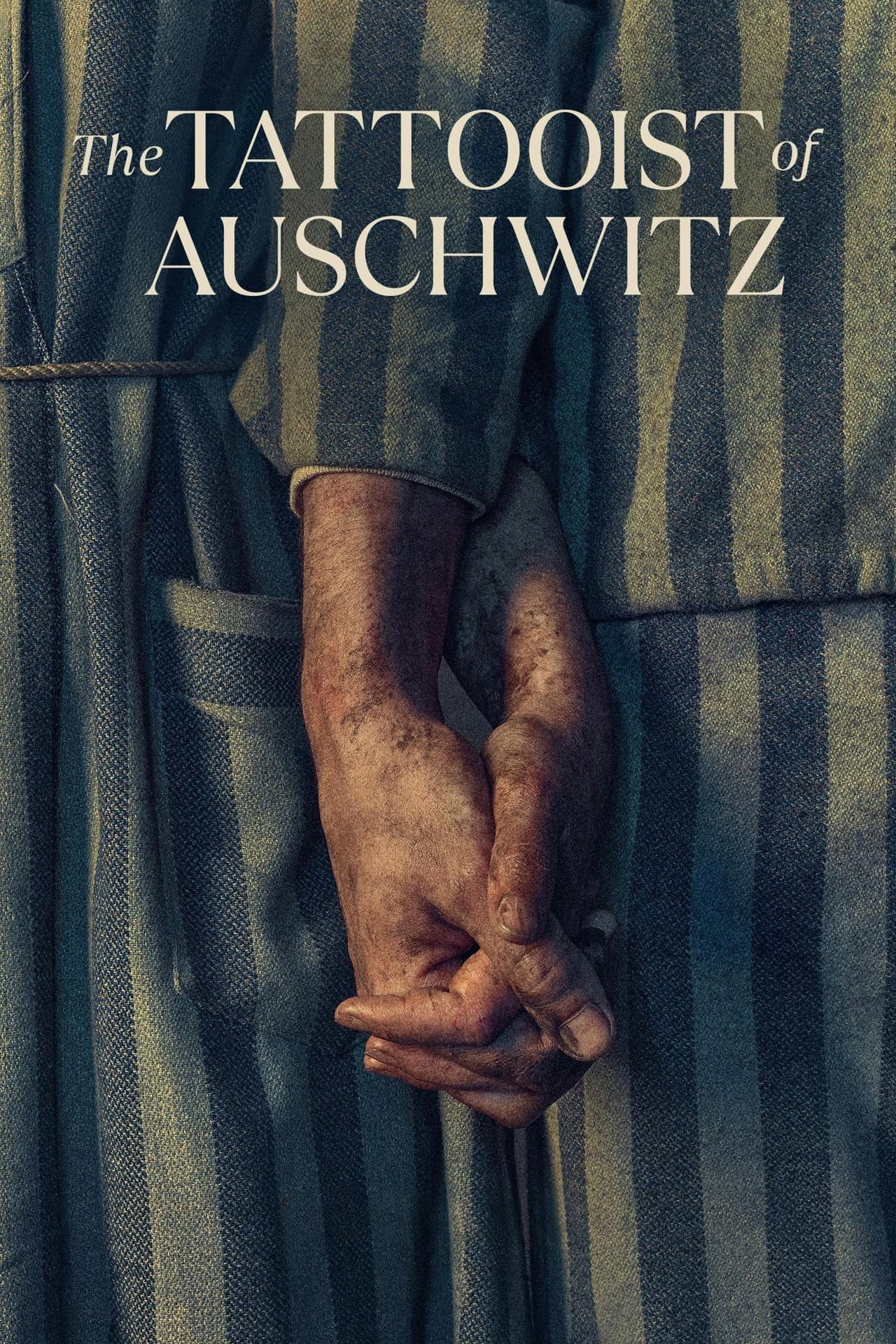 The Tattooist of Auschwitz preview 2