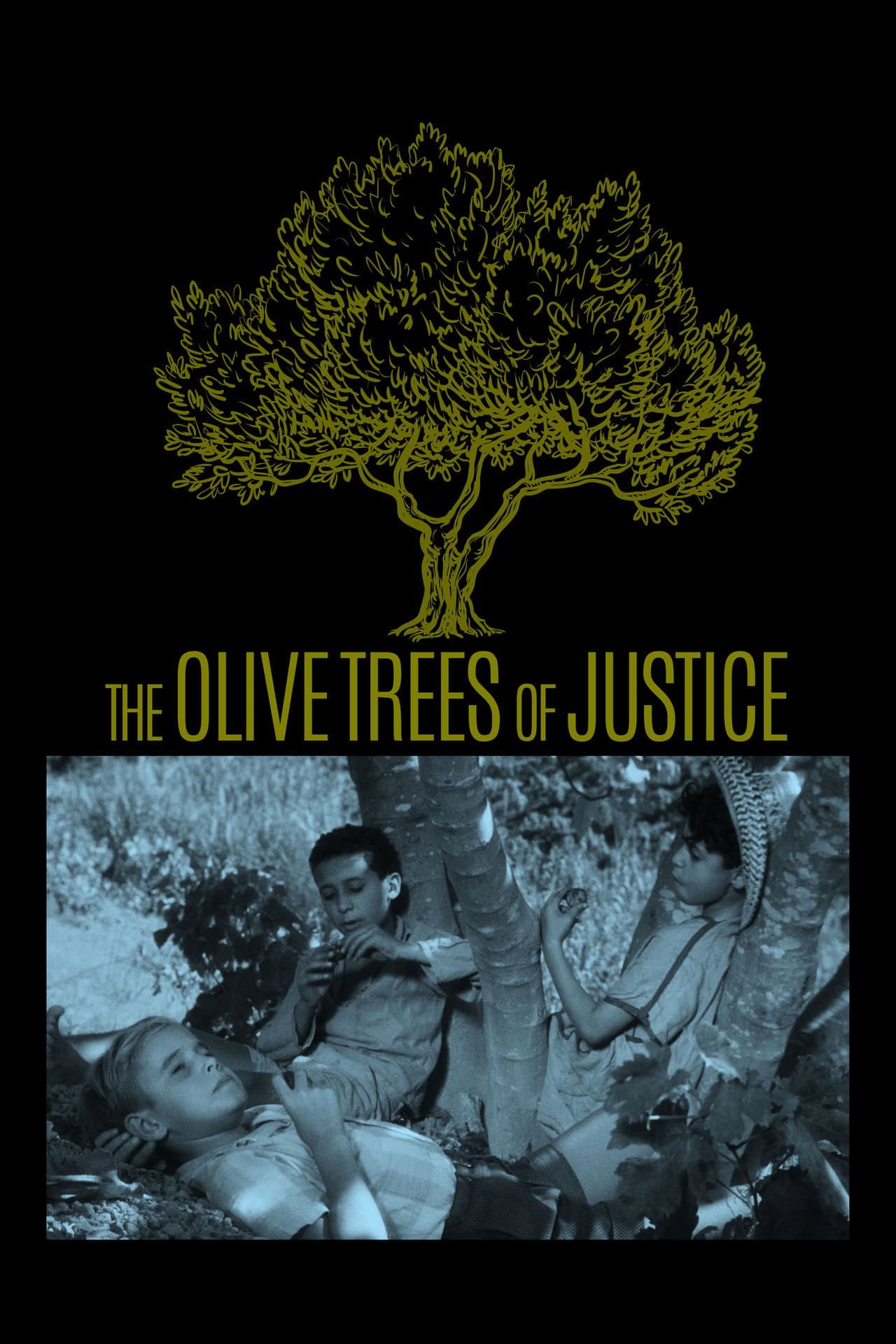 The Olive Trees of Justice preview 2