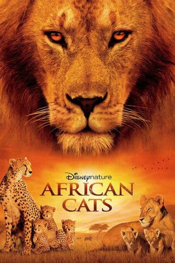 African Cats preview 2