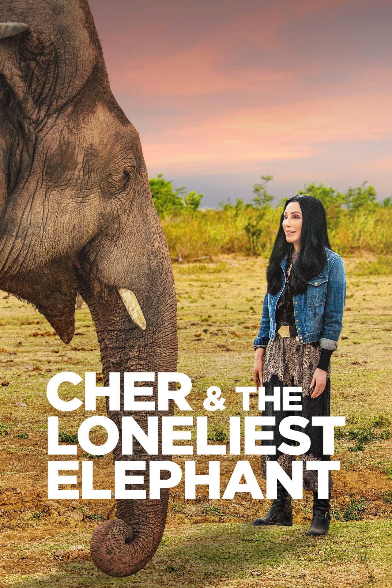 Cher & the Loneliest Elephant preview 2