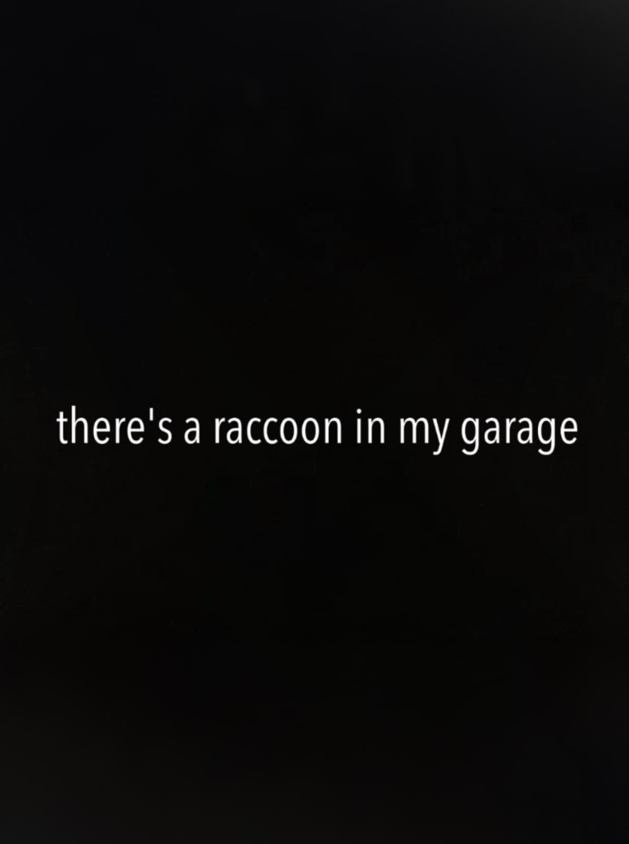 There's a Raccoon in My Garage preview 2