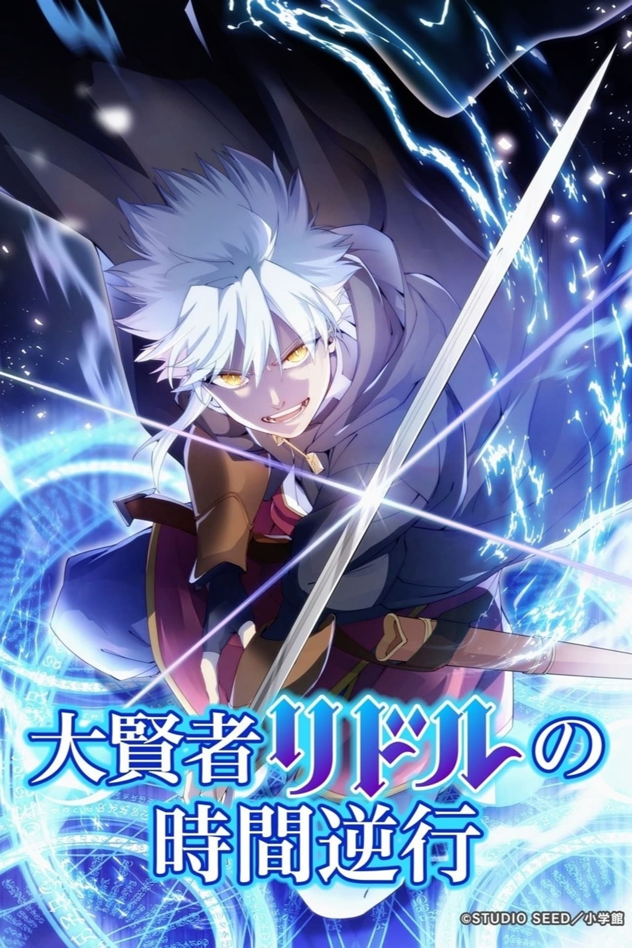 The Regression of Great Sage Riddle preview 2