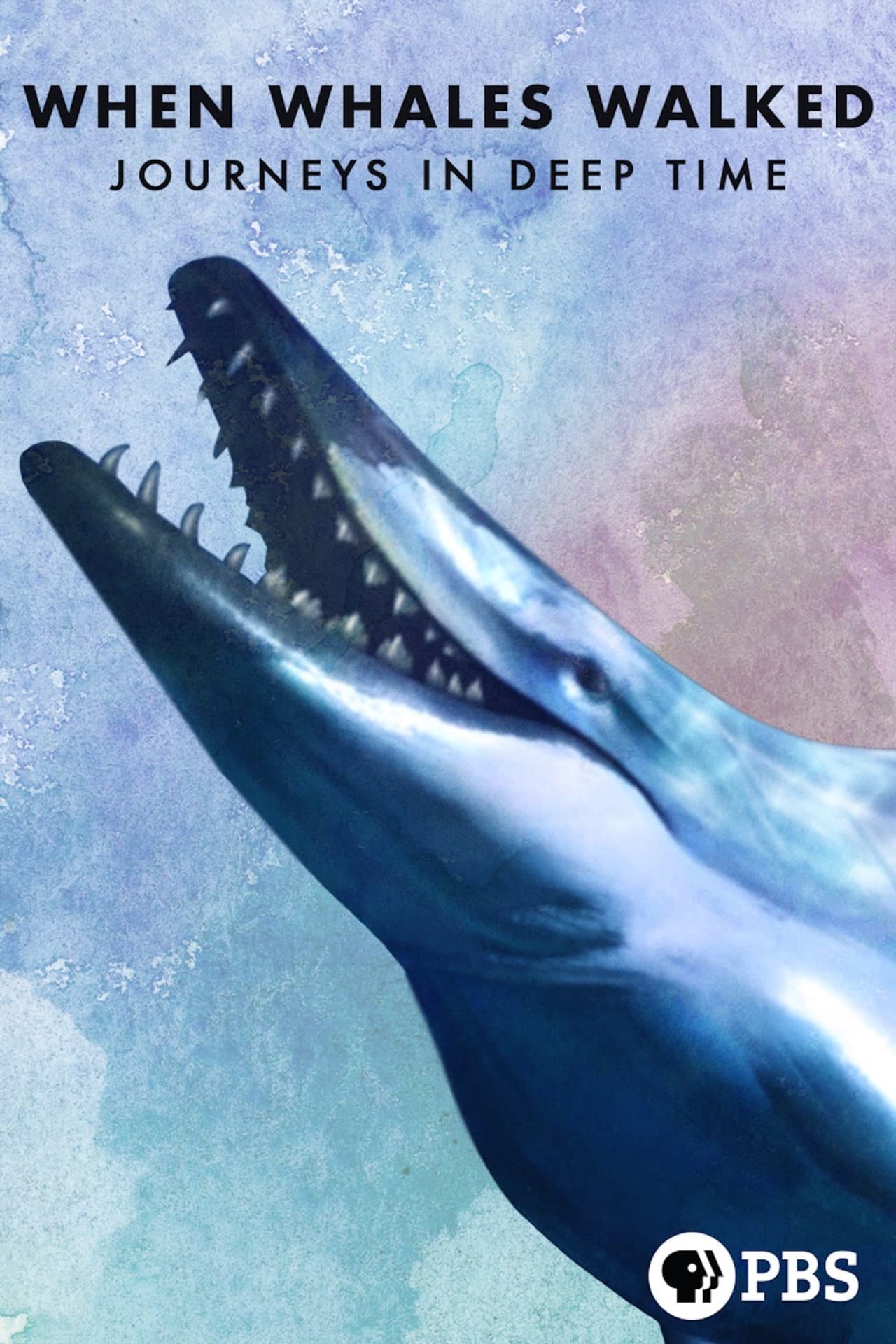 When Whales Walked: Journeys in Deep Time preview 2