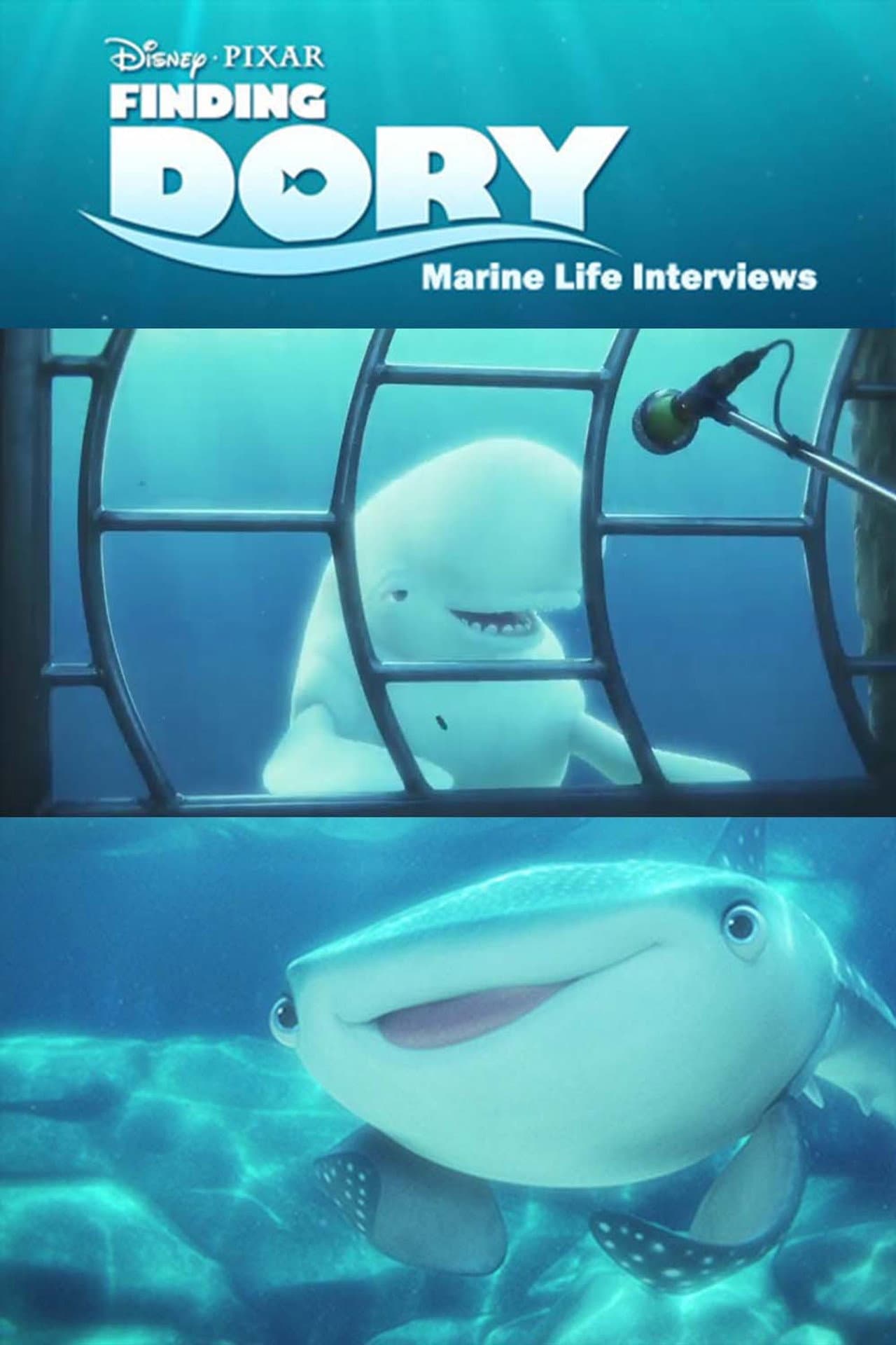 Marine Life Interviews preview 2