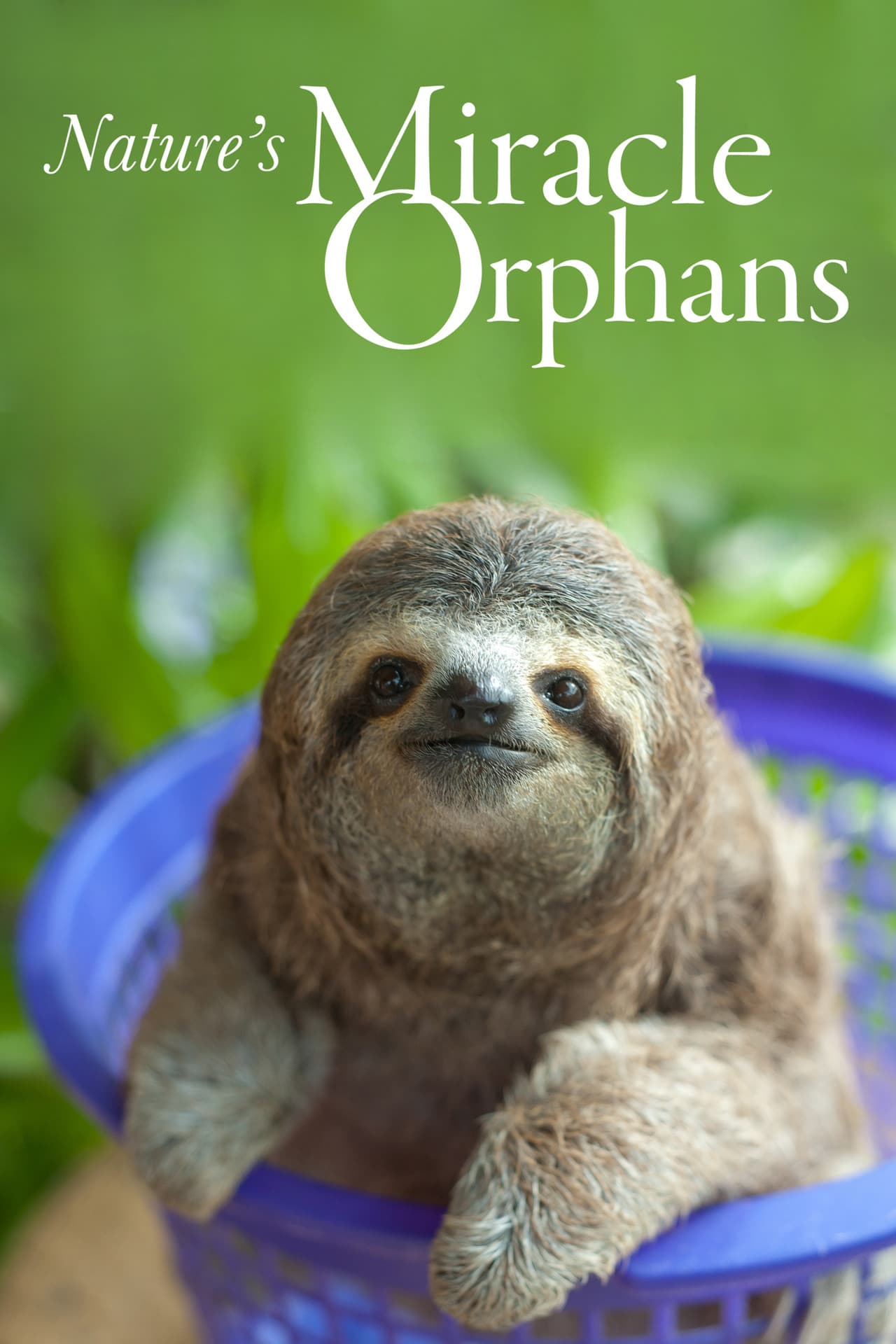 Nature's Miracle Orphans preview 1