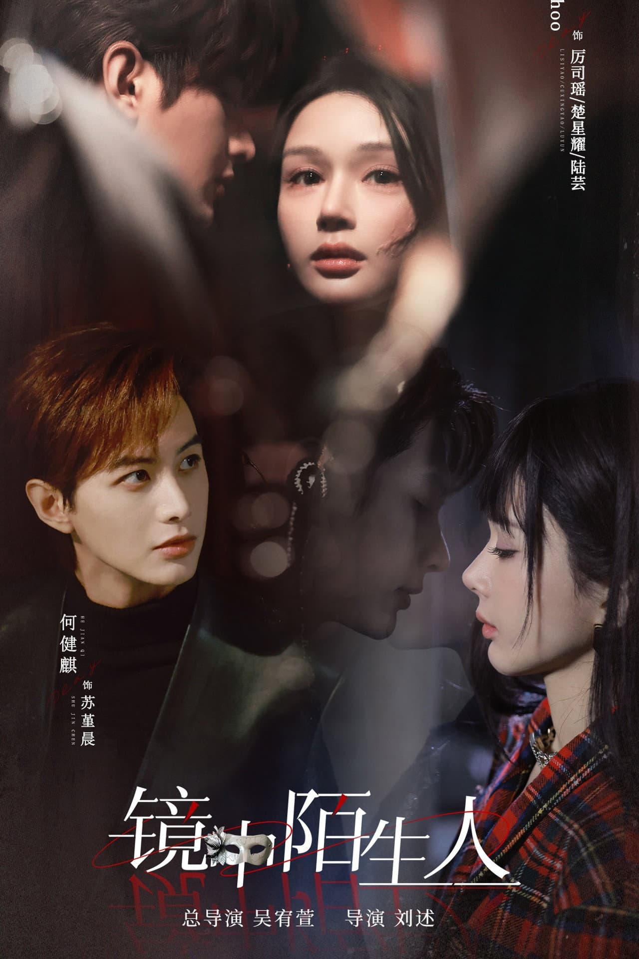 The Stranger in the Mirror preview 1