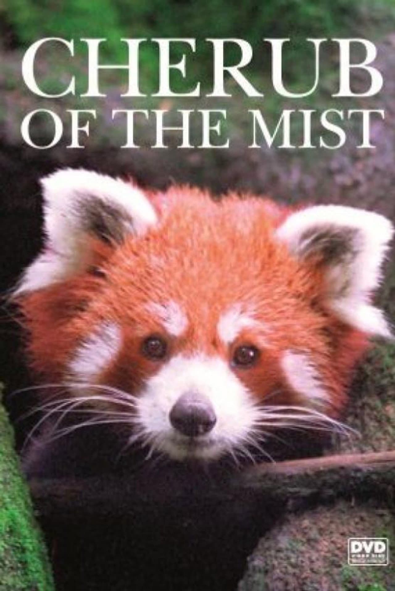 Cherub of the Mist preview 1