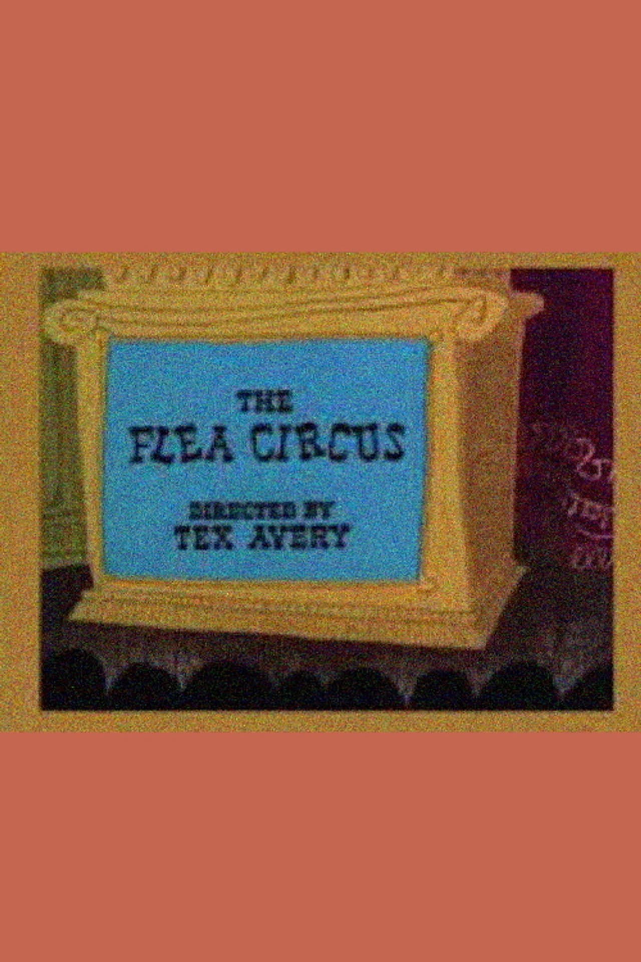 The Flea Circus preview 2