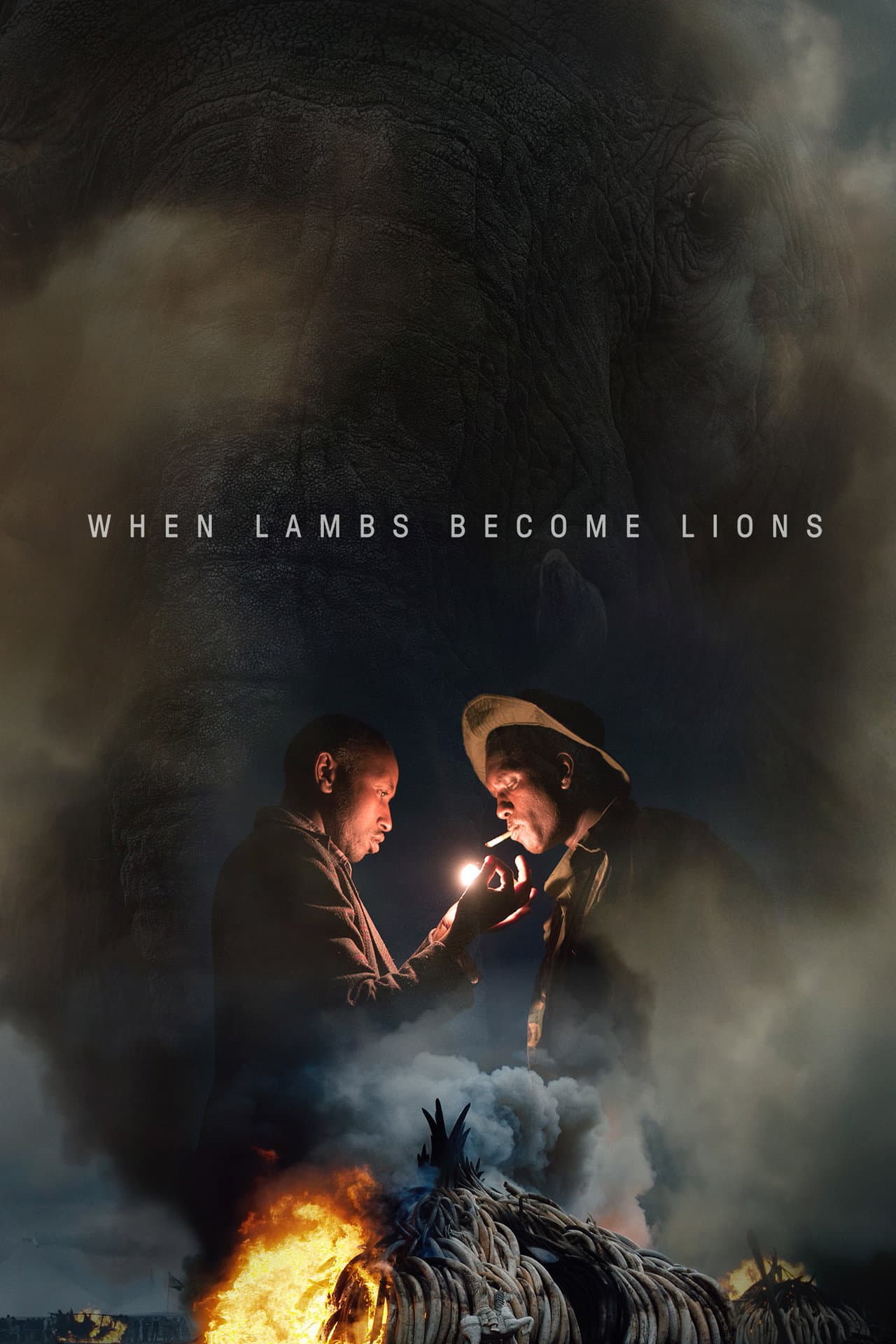 When Lambs Become Lions preview 2