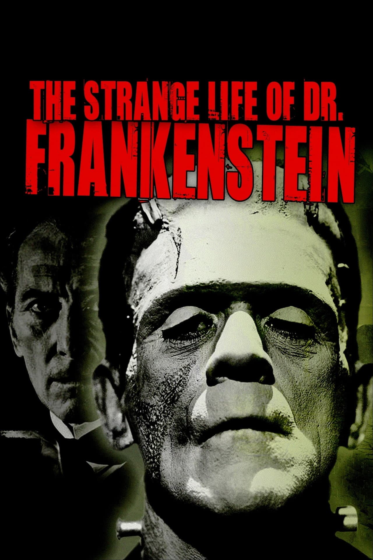 The Strange Life of Dr. Frankenstein preview 2
