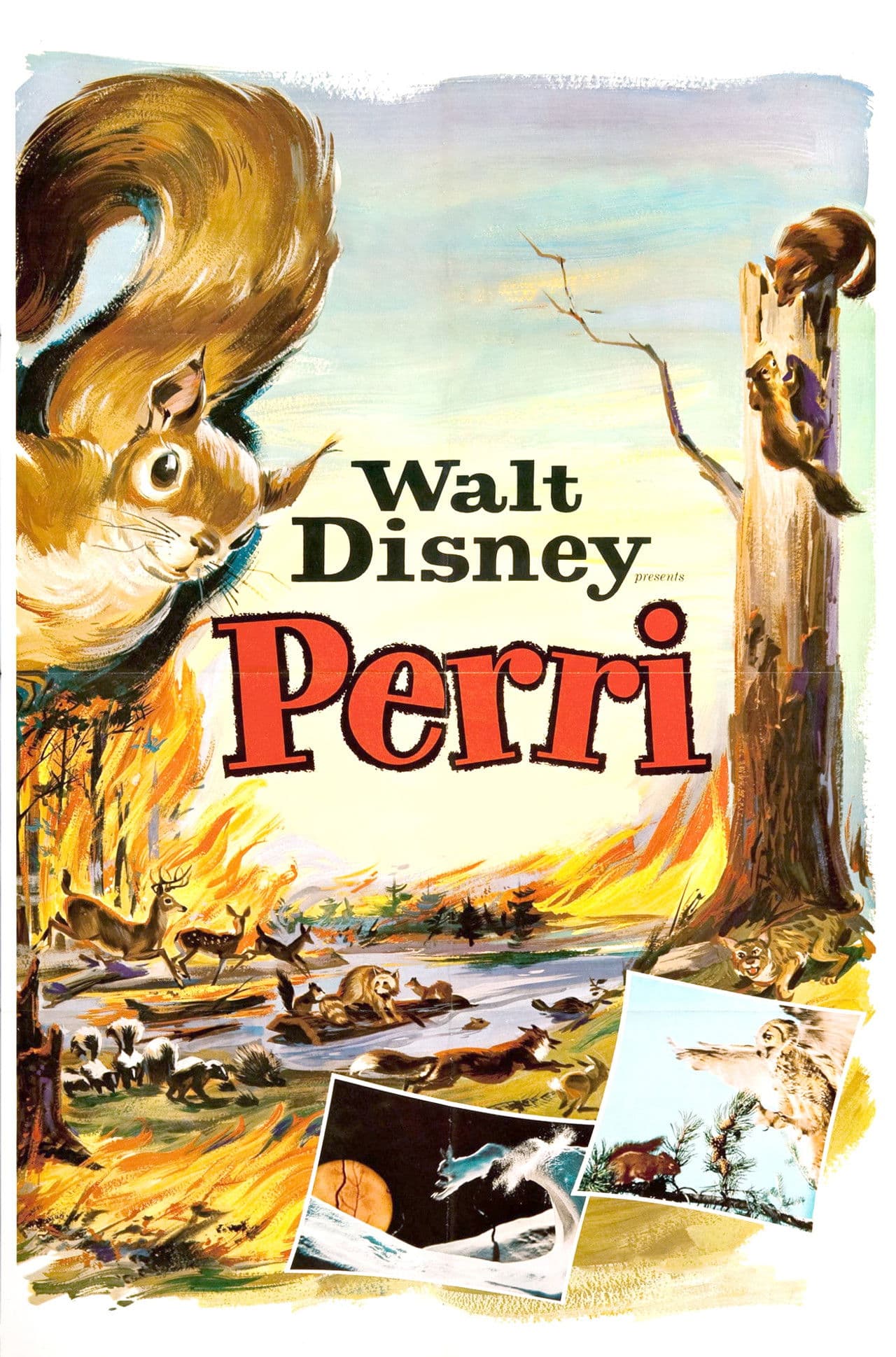 Perri preview 2
