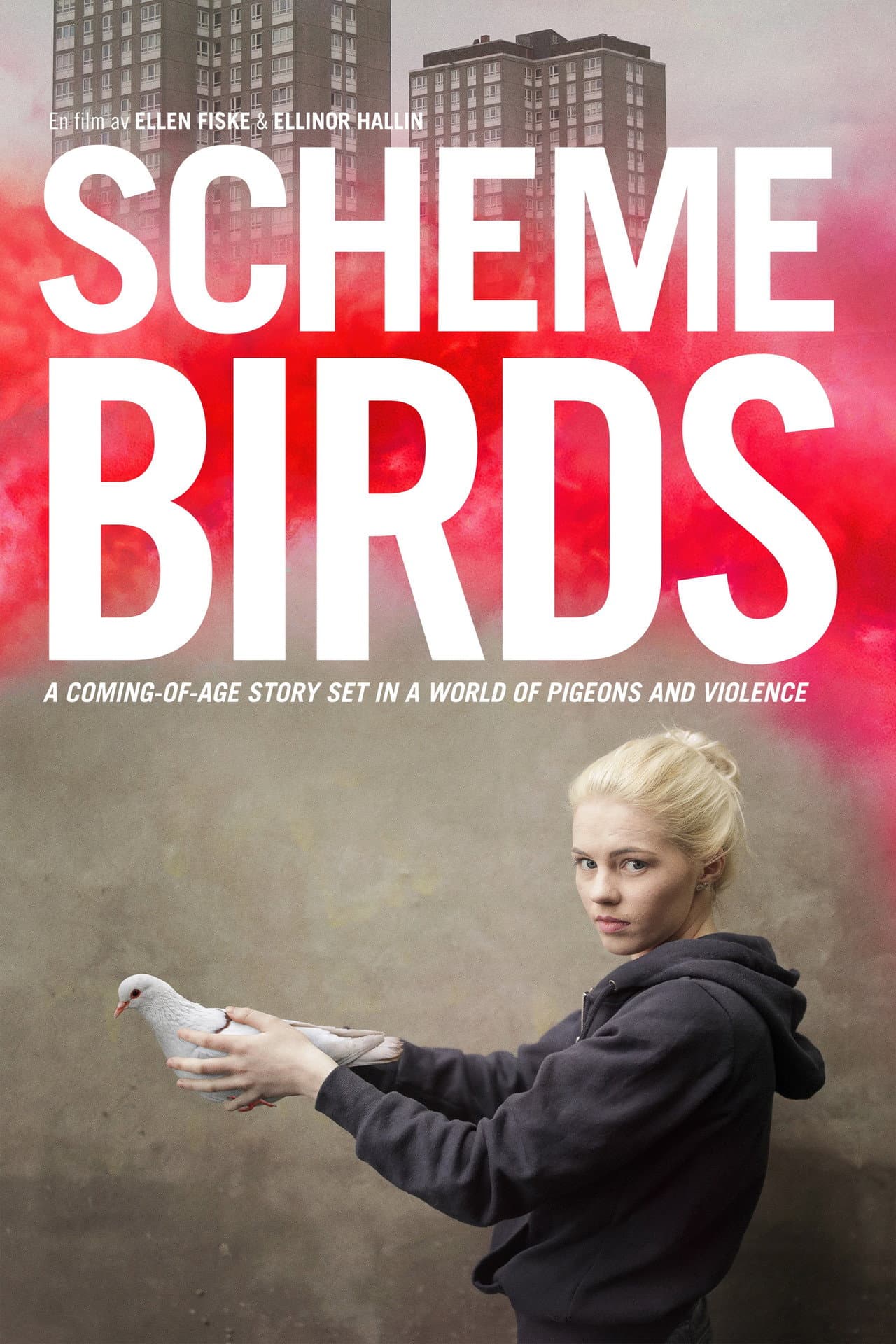 Scheme Birds preview 2
