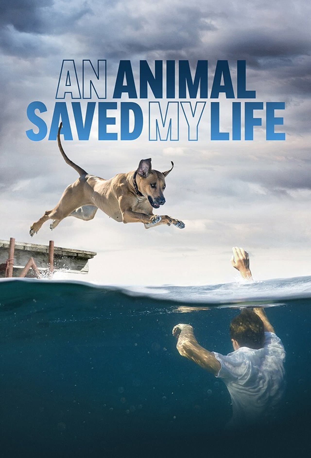 An Animal Saved My Life preview 2