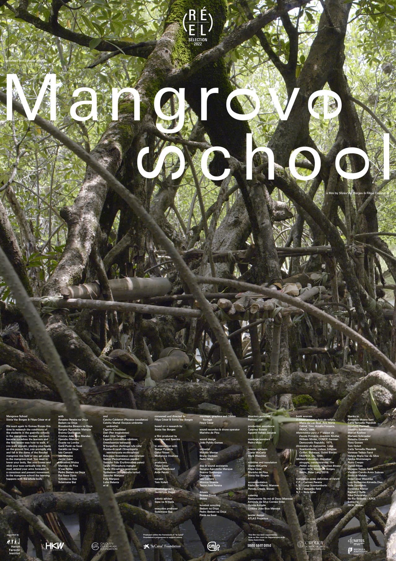 Mangrove School preview 2