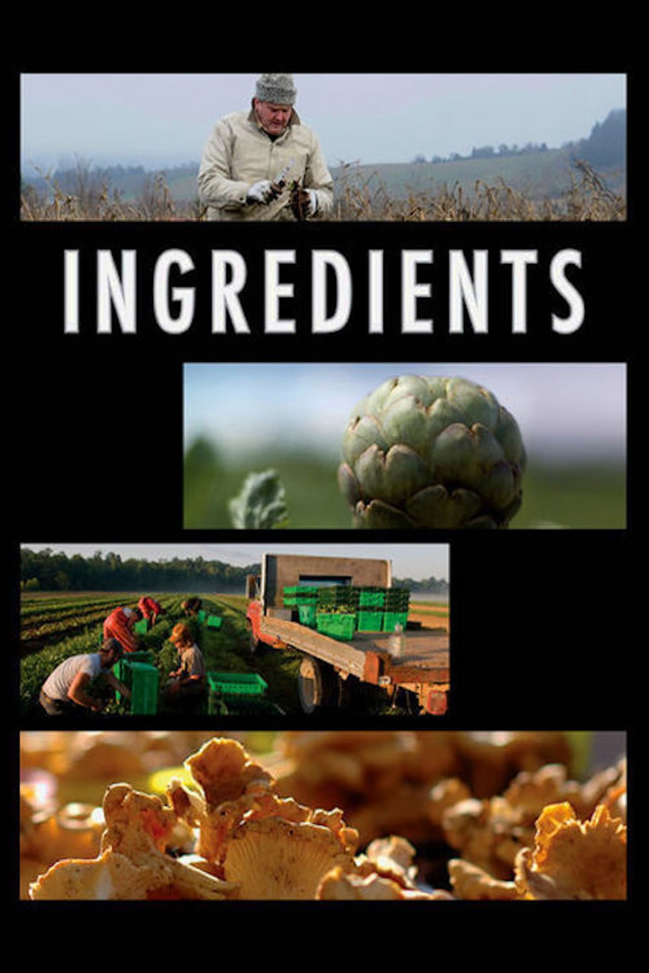 Ingredients preview 1