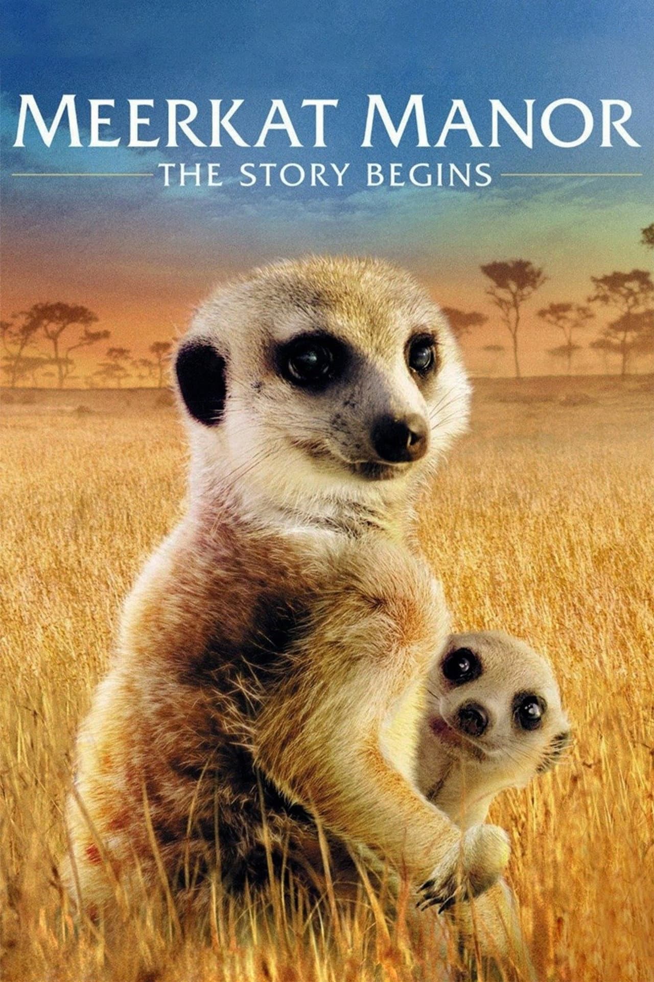Meerkat Manor: The Story Begins preview 2