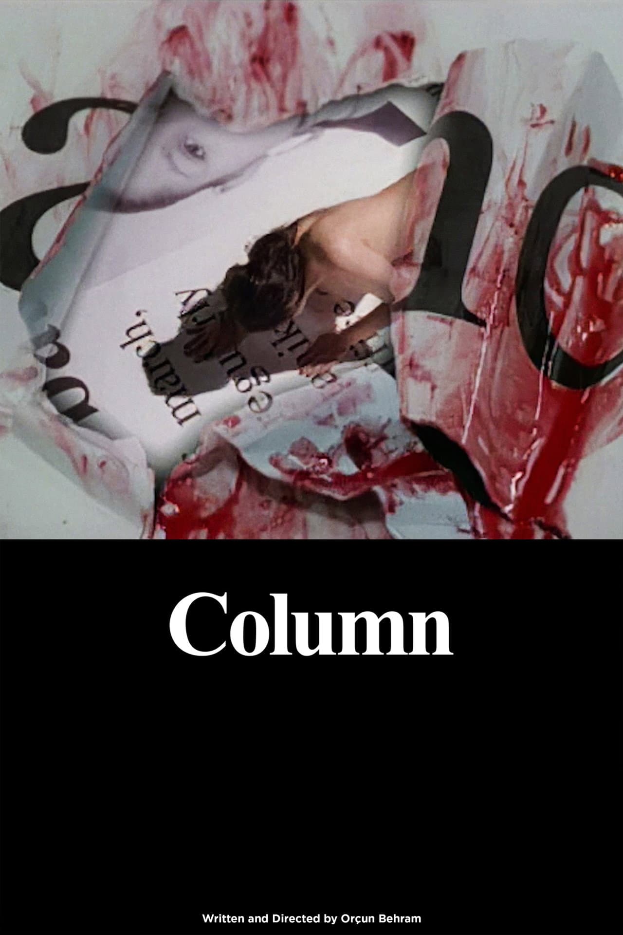 Column preview 2