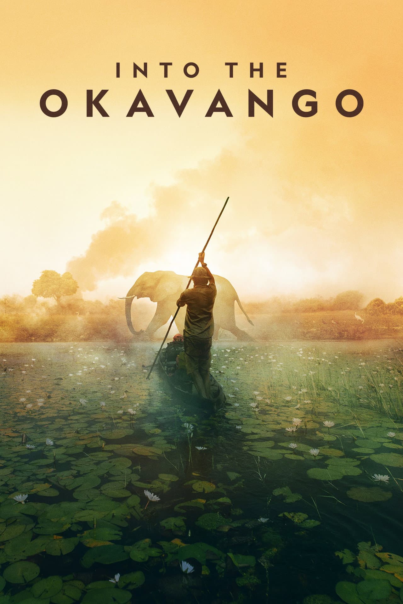 Into the Okavango preview 2