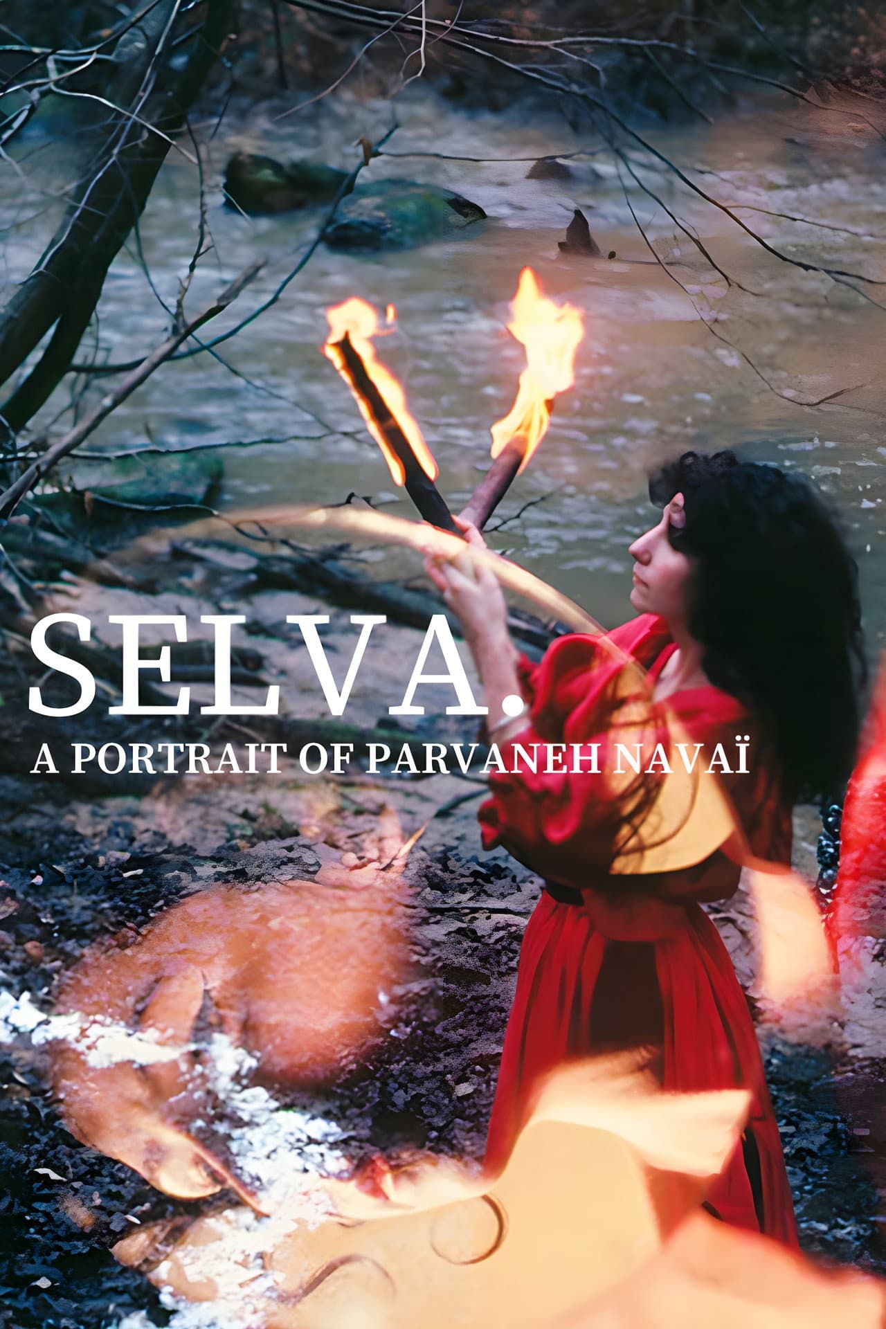 Selva. A Portrait of Parvaneh Navaï preview 2